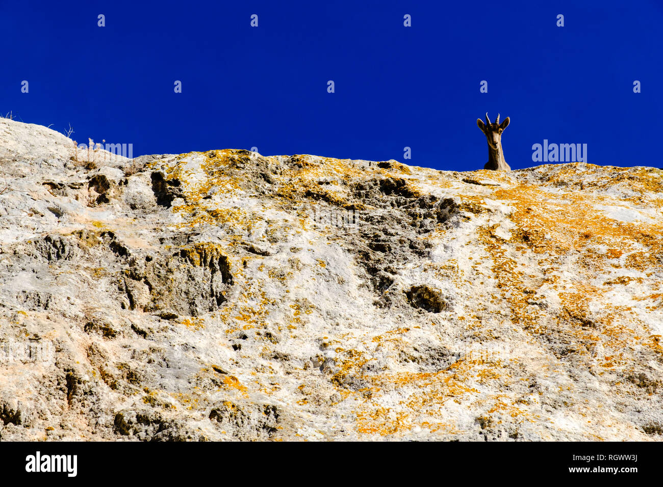 Eine IBEX-Uhren auf den Felsen mit Blick auf einen Weg in den Berg Dorf von Comares, Axarquia, Malaga, Andalusien, Spanien Stockfoto