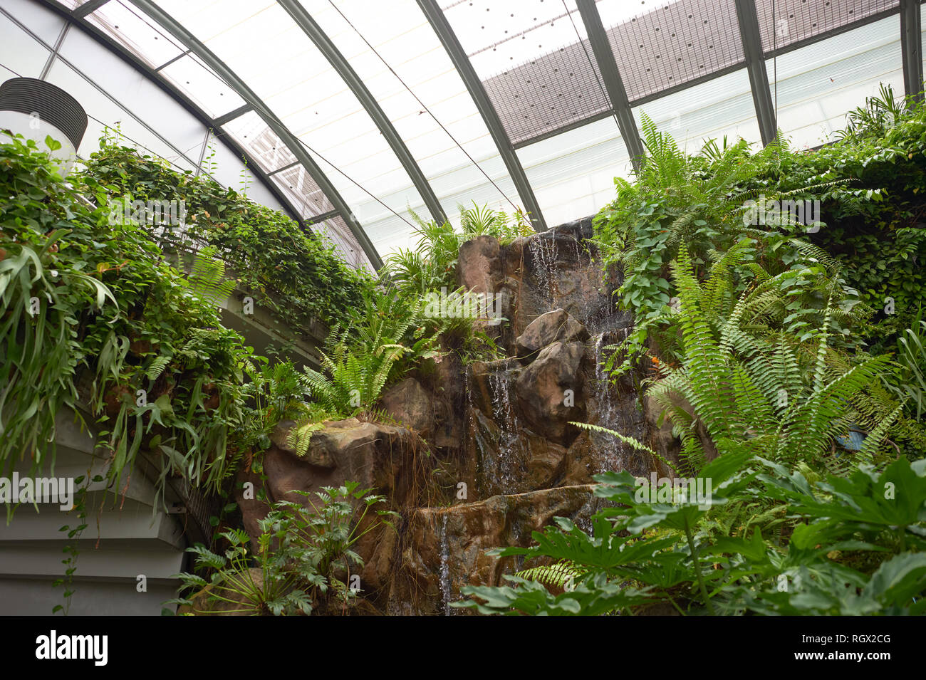 Singapur - ca. November 2015: Im Garten der Schmetterlinge Changi Airport Terminal 3. Stockfoto