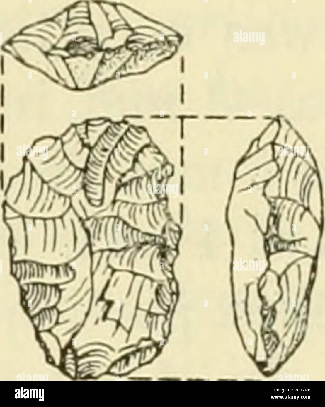 . Bulletin. Ethnologie. 0/inch Abbildung 9.-holzhacker oder "Ecrasoir ou retouchoirs" (nach de Mortillet, 1881). als wenn der Hersteller verstanden sowohl seine Technik und die Qualität der Stein gearbeitet wird. Vier verschiedene Größen wurden wiederhergestellt. Das größte Exemplar misst 70 mm in der Länge, 24 mm Breite und 11 mm in der Dicke. Die anderen drei gemessen 49 mm, 43 mm und 29 mm in der Länge, 23 mm, 21 mm und 20 mm in der Breite, 10 mm, 10 mm und 10 mm in der Dicke. Es wird festgestellt, dass die Dicke der vier war prac gebucht Stockfoto