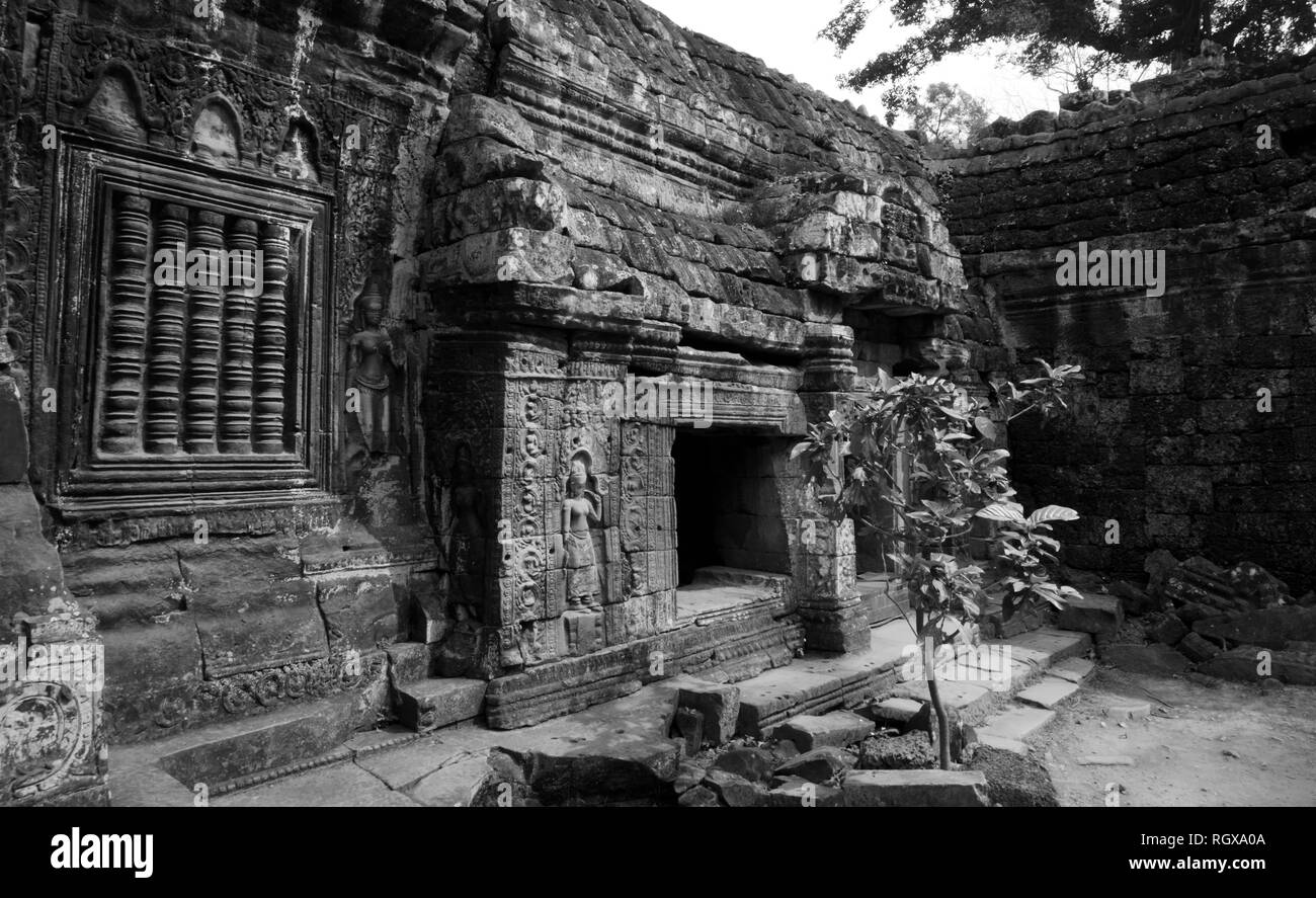 Ta Phrom, Angkor Wat, Siem Reap, Kambodscha Stockfoto