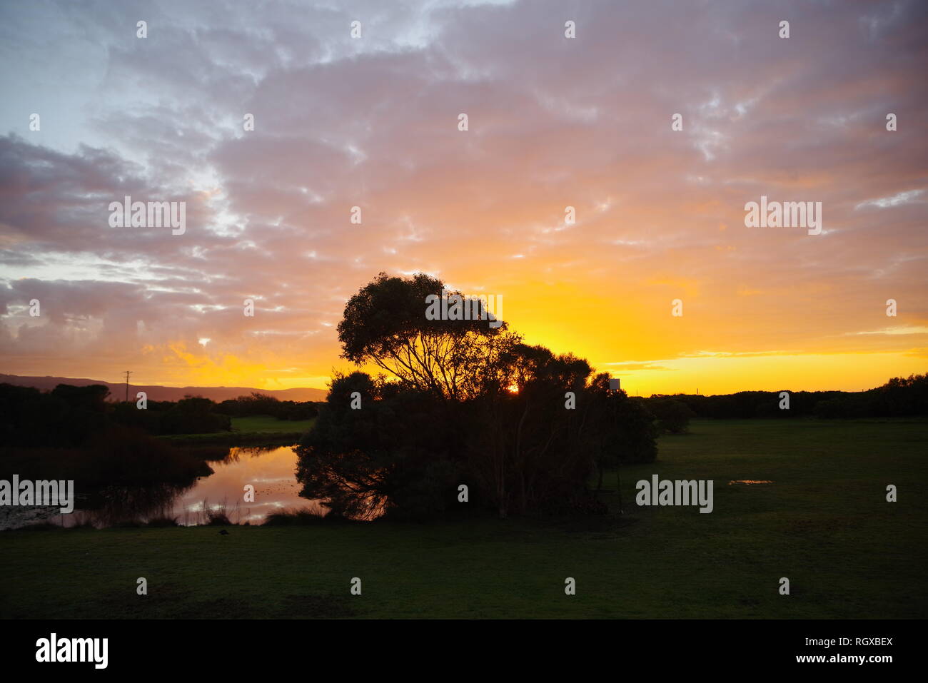 Gelb und Violett Sunrise Apollo Bay, Australien (kelson Burns) Sonnenuntergang Stockfoto