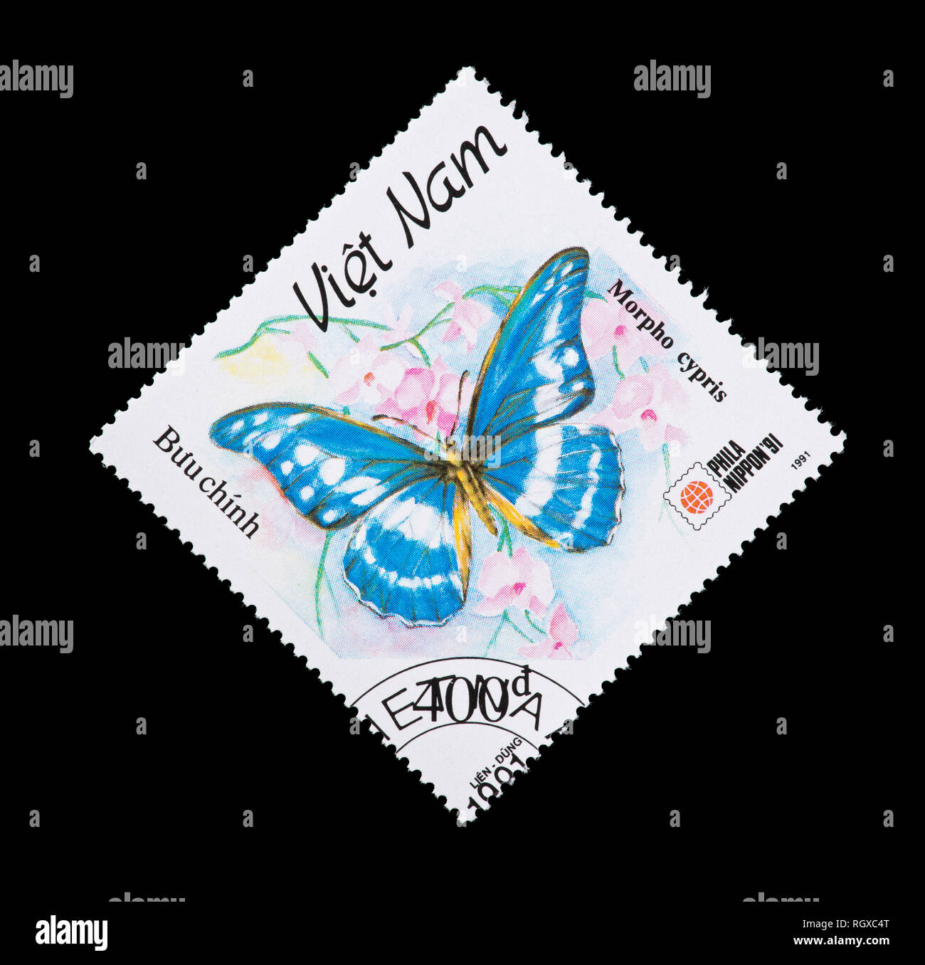 Briefmarke aus Vietnam mit Morpho Cypris Schmetterling (Morpho cypris) Stockfoto