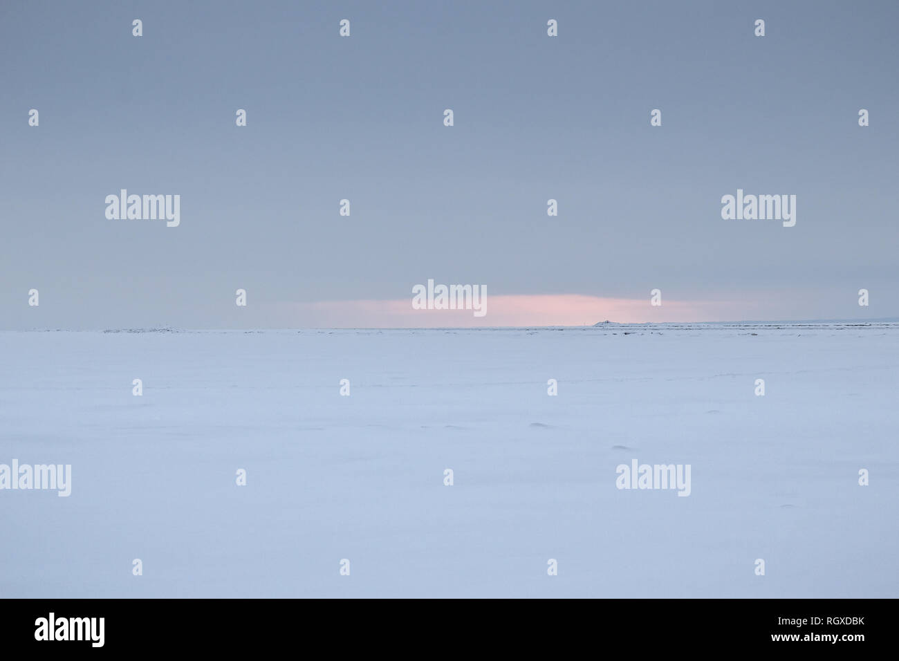 Rosa Sonnenuntergang in der eisigen Ostsee, Estland Stockfoto