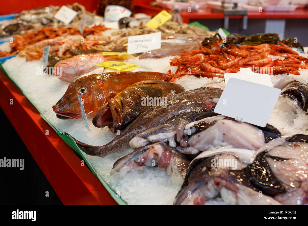 Vielzahl an raw Meer Fisch auf Eis auf Zähler auf Meeresfrüchte shop Stockfoto