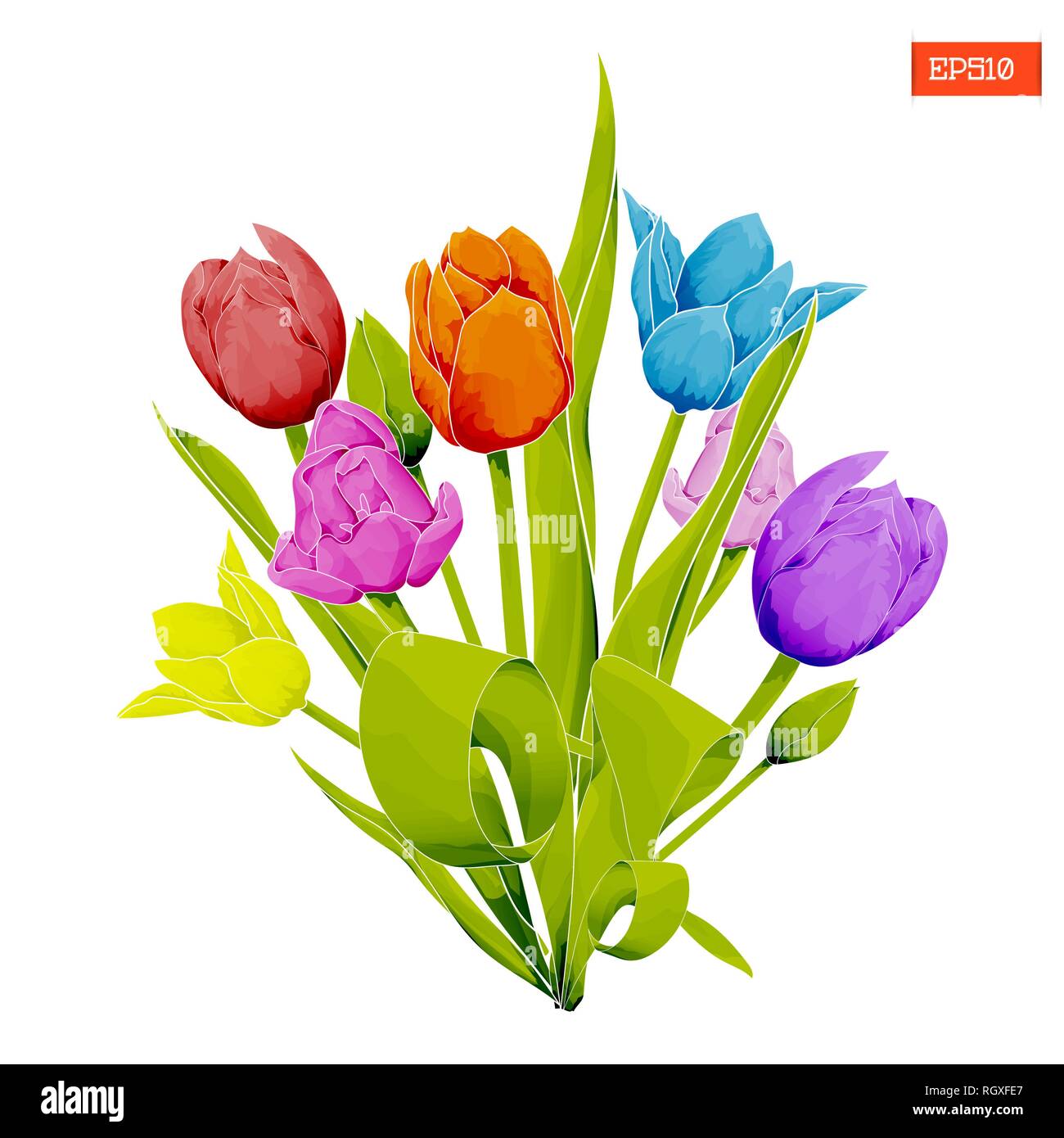 Blumenstrauß aus den vielfarbigen Tulpen, mit Blättern in Aquarell Stil auf einem weißen Hintergrund. Vector Illustration Stock Vektor