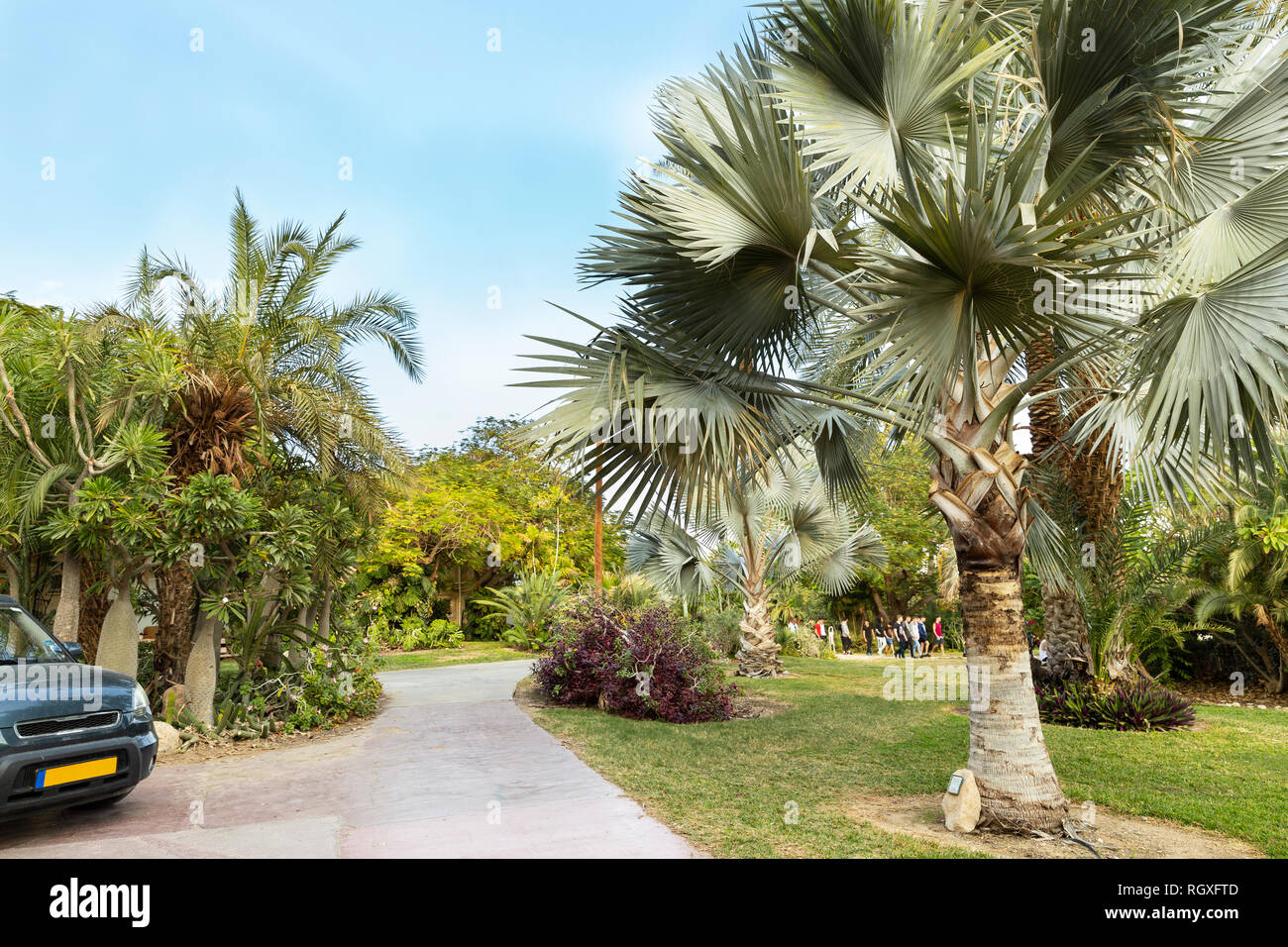 Eine erstaunliche Botanischer Garten mit Resort Ein Gedi kibbutz
