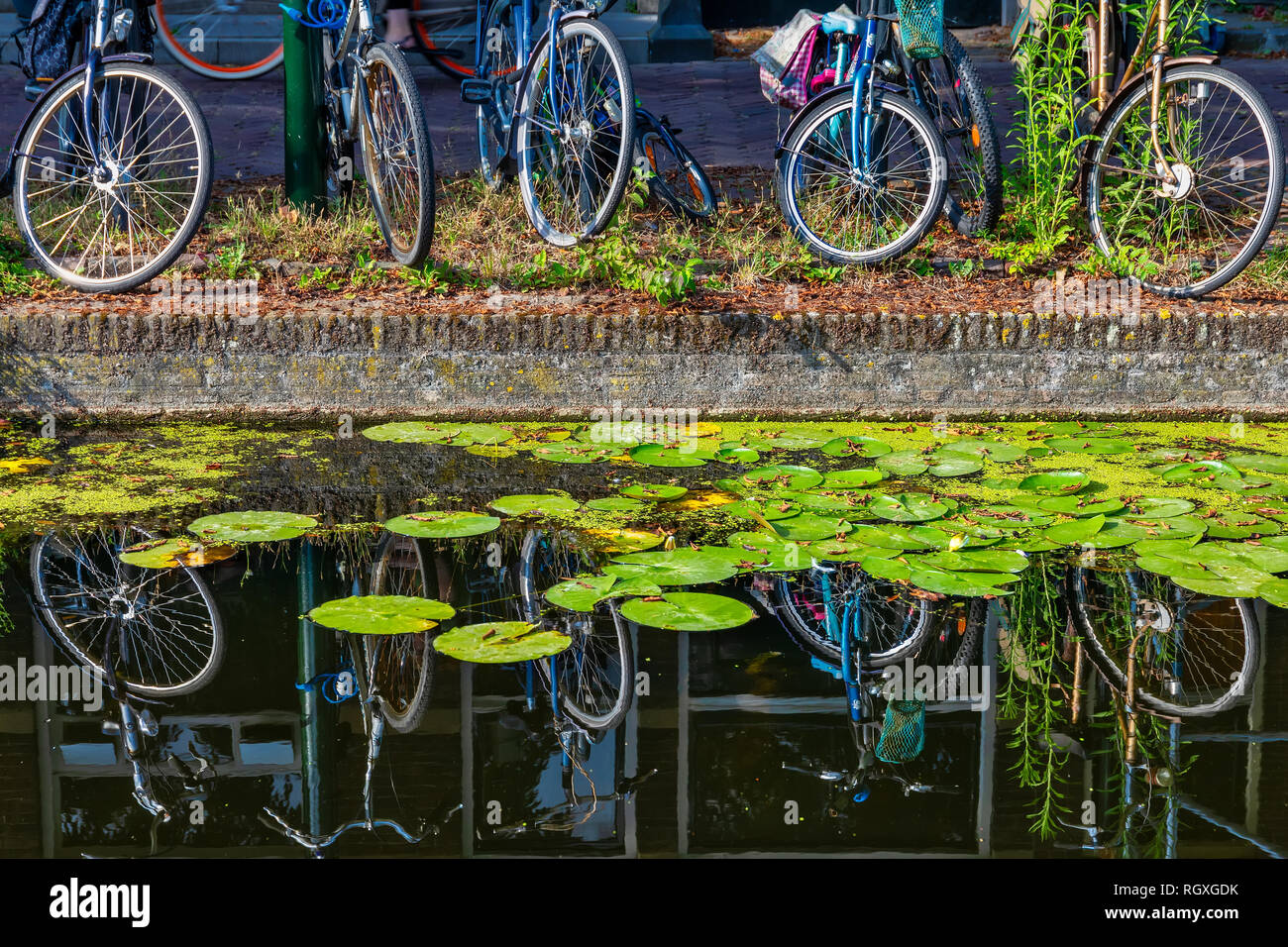 Nahaufnahme der Bikes mit Überlegungen über einen Kanal in der Stadt Delft, Niederlande Stockfoto