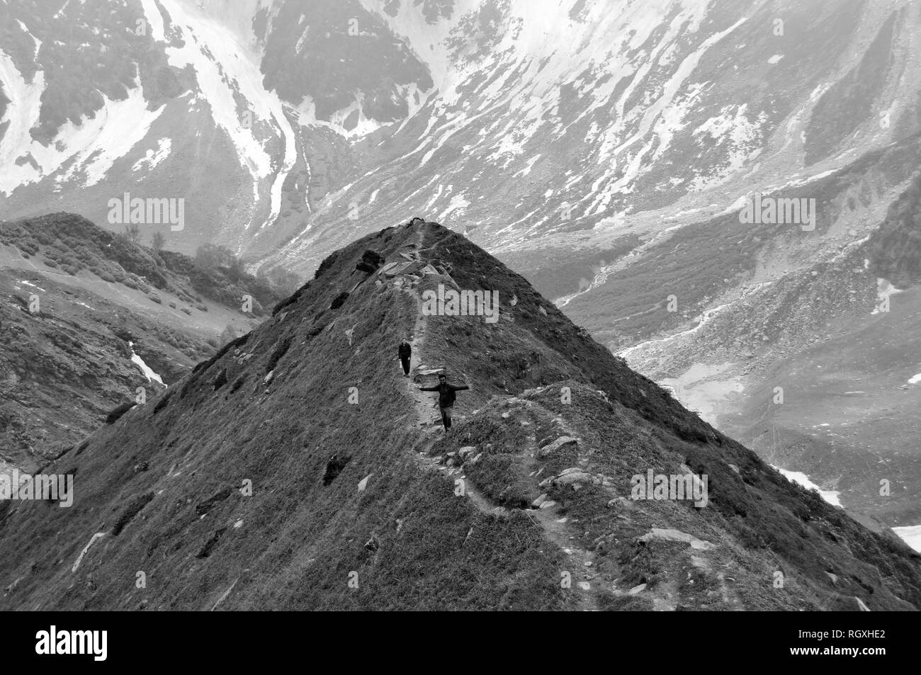 Die Kraft der Natur Stockfoto