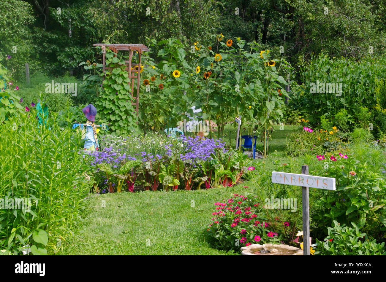 Gemeinschaft garten in voller Blüte, Sommer in Maine, USA Stockfoto
