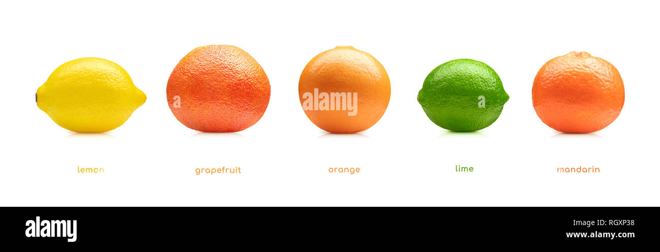 Zitrone, Limone, Orange, Mandarine, Grapefruit Obst auf weißem Hintergrund Stockfoto