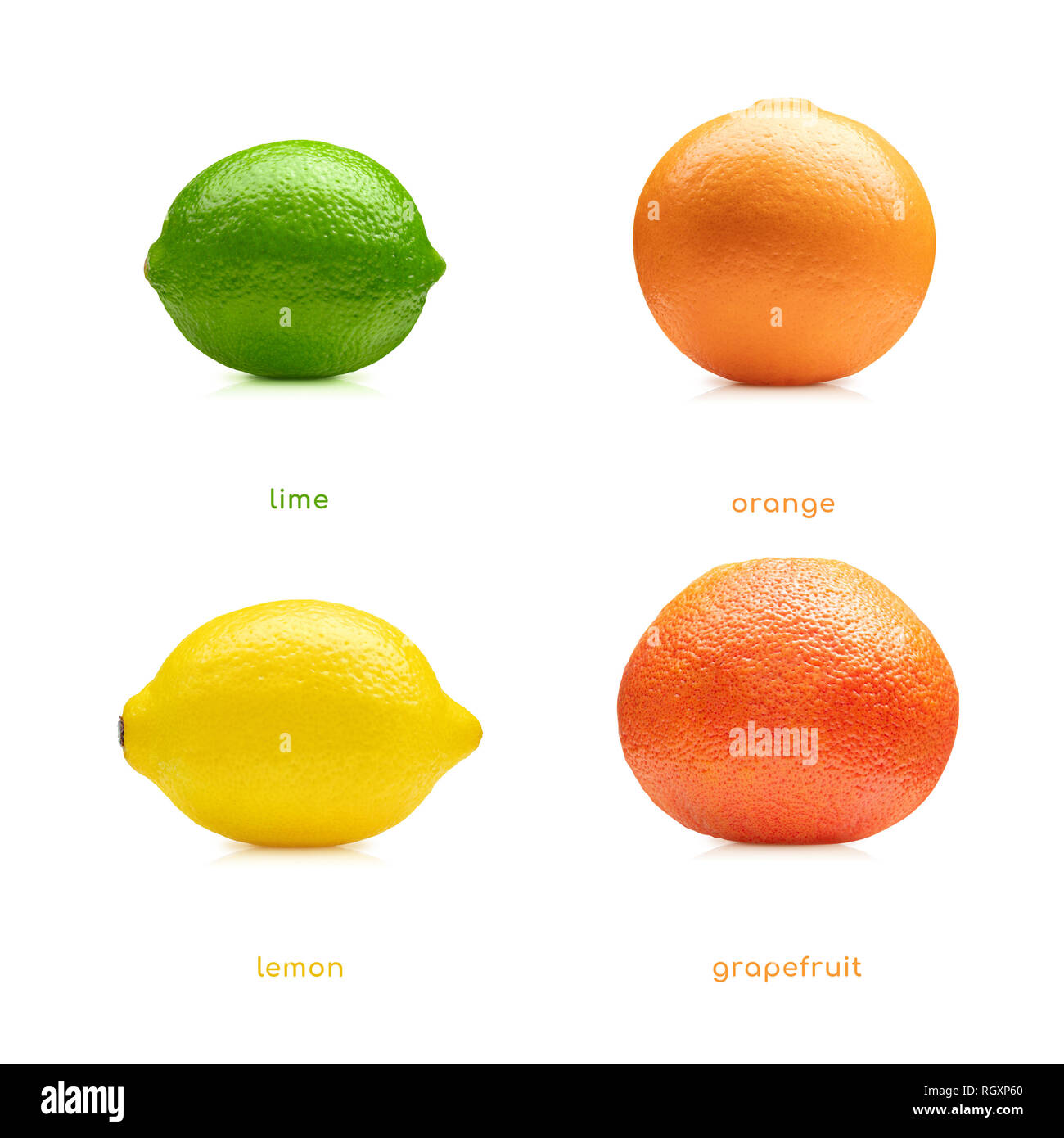 Zitrone, Limone, Orange, Grapefruit Obst auf weißem Hintergrund Stockfoto