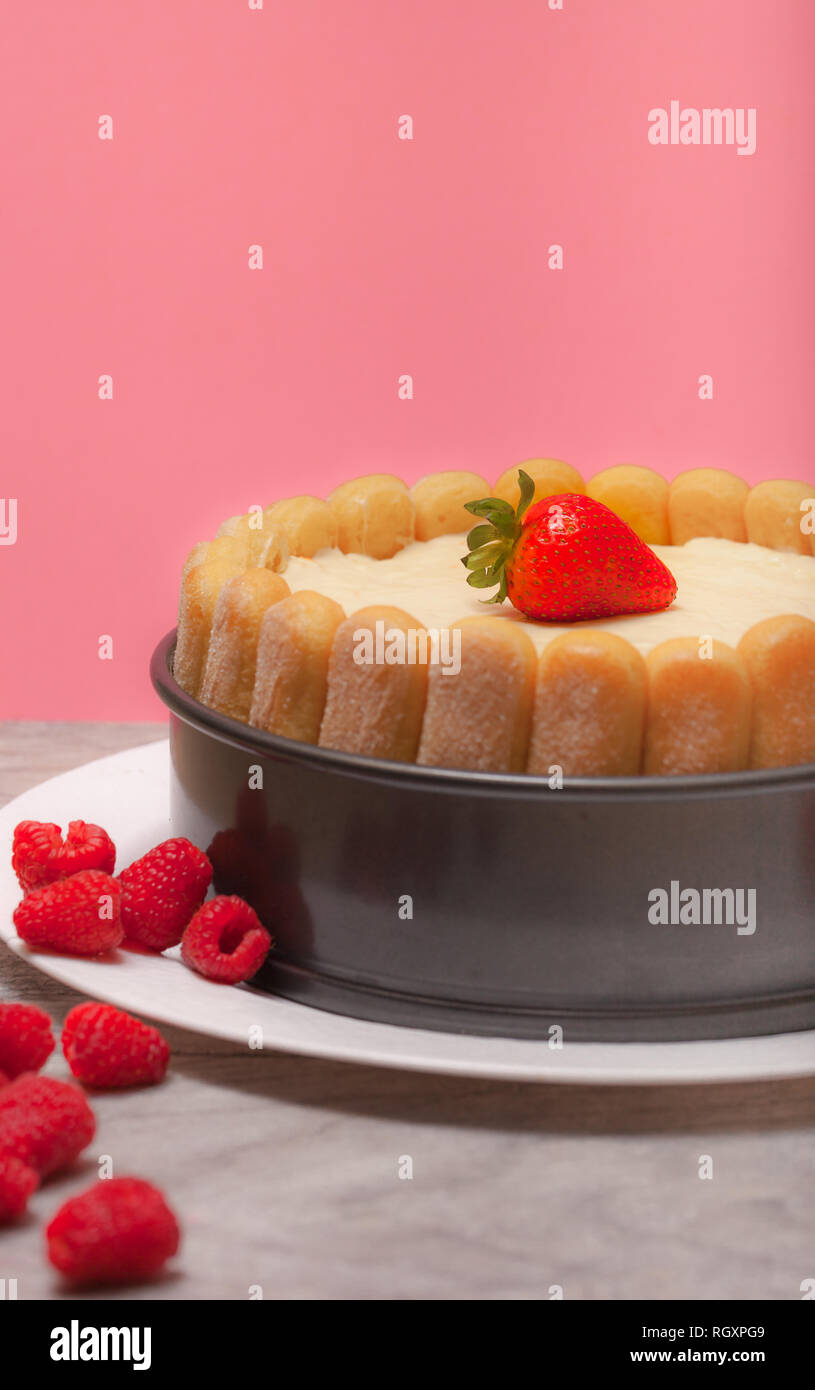 Diplomat Kuchen oder Charlotte Kuchen mit strwaberries und Lady Finger in Backform auf einem Holztisch mit rosa Hintergrund/Fokus auf Erdbeere Stockfoto