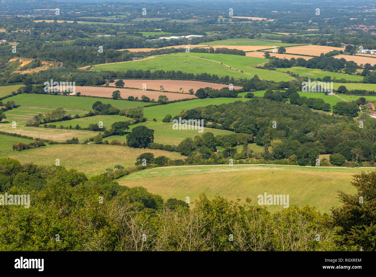 Blick auf grüne Felder und Landschaft vom Chanctonbury Ring, West Sussex, Großbritannien. Stockfoto