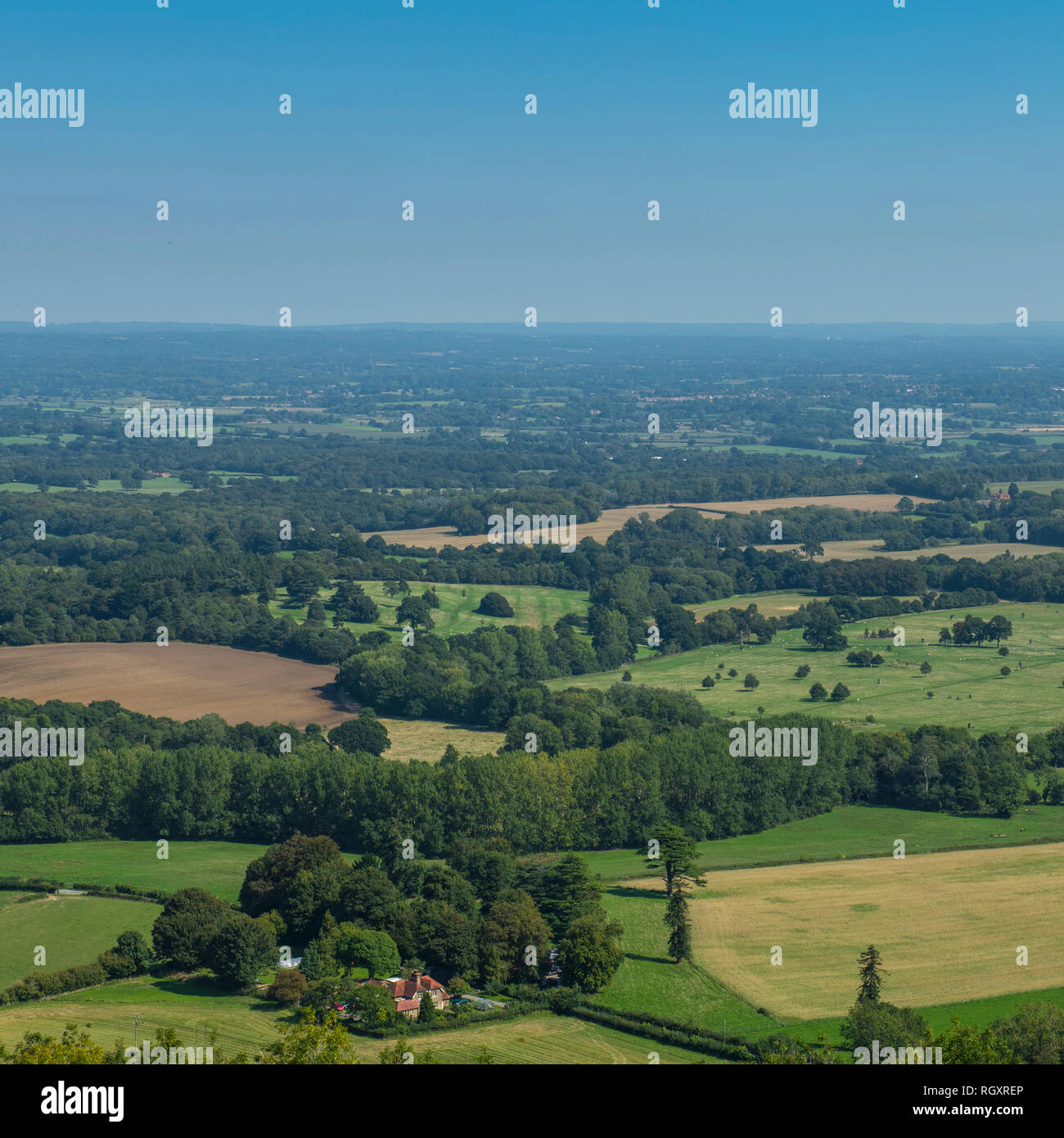 Blick auf grüne Felder und Landschaft vom Chanctonbury Ring, West Sussex, Großbritannien. Stockfoto
