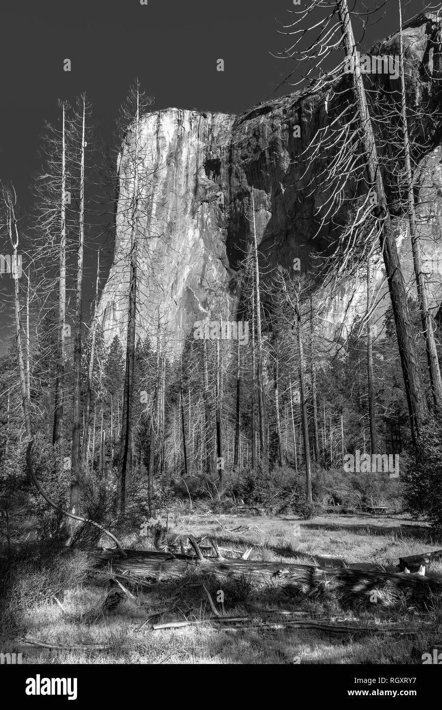 Yosemite 042816-17-2 El Capitan Stockfoto