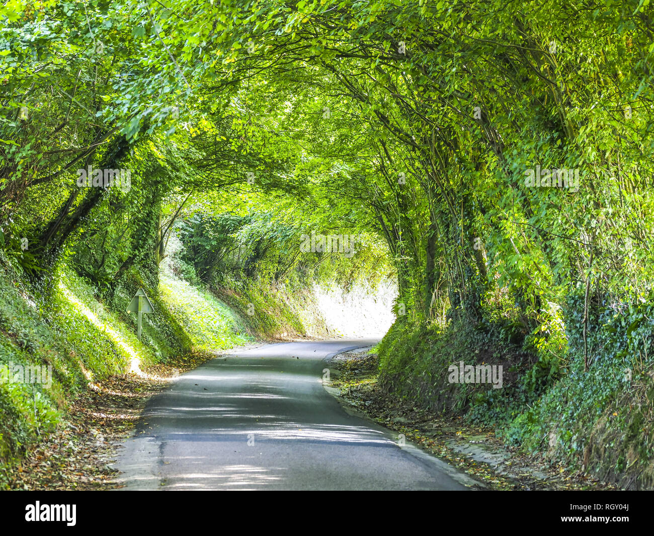 Schmale Straße 50 M Sichtweite www.alamy.de