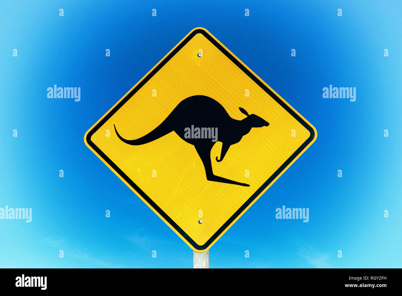 Känguru Schild Australien, West, Süd, Northern Territory, Queensland Stockfoto