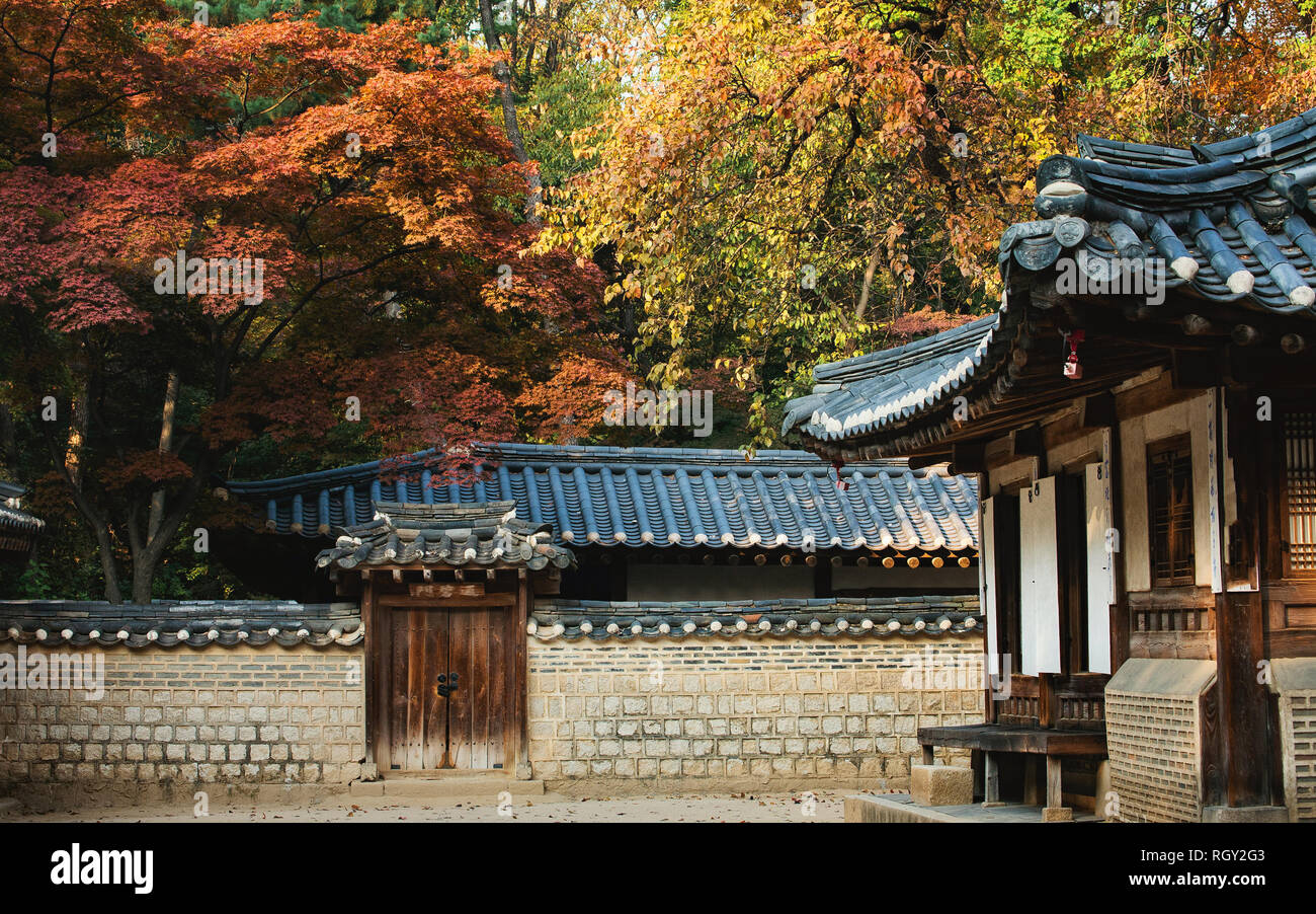 Falls Farben im Königlichen Palast in Korea Stockfoto