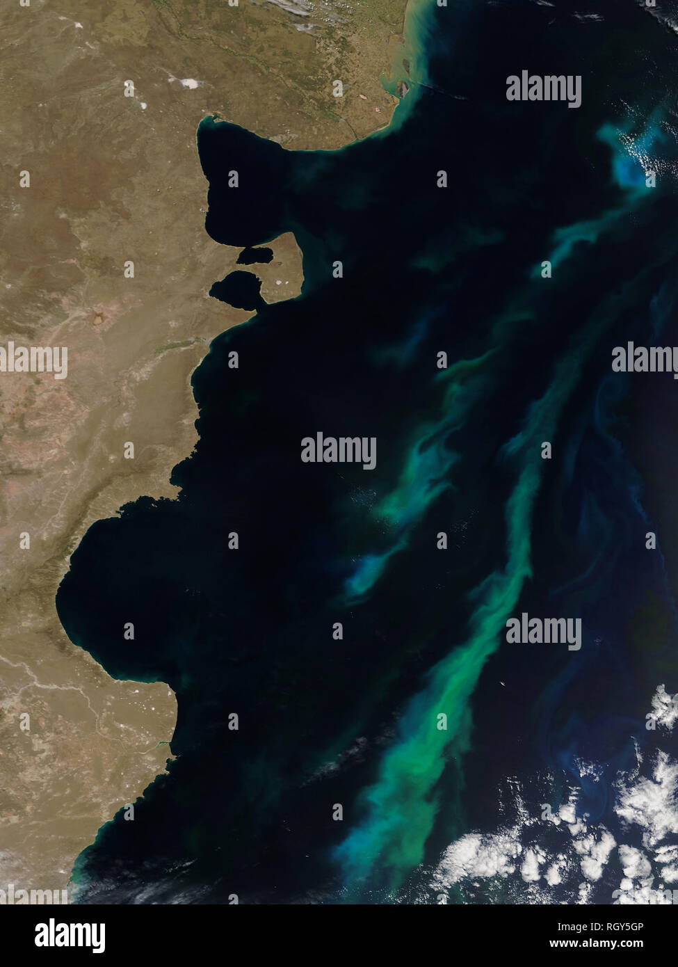 Dezember 17, 2018 Phytoplankton bloom südlichen Atlantischen Ozean vor der Küste von Argentinien. Stockfoto