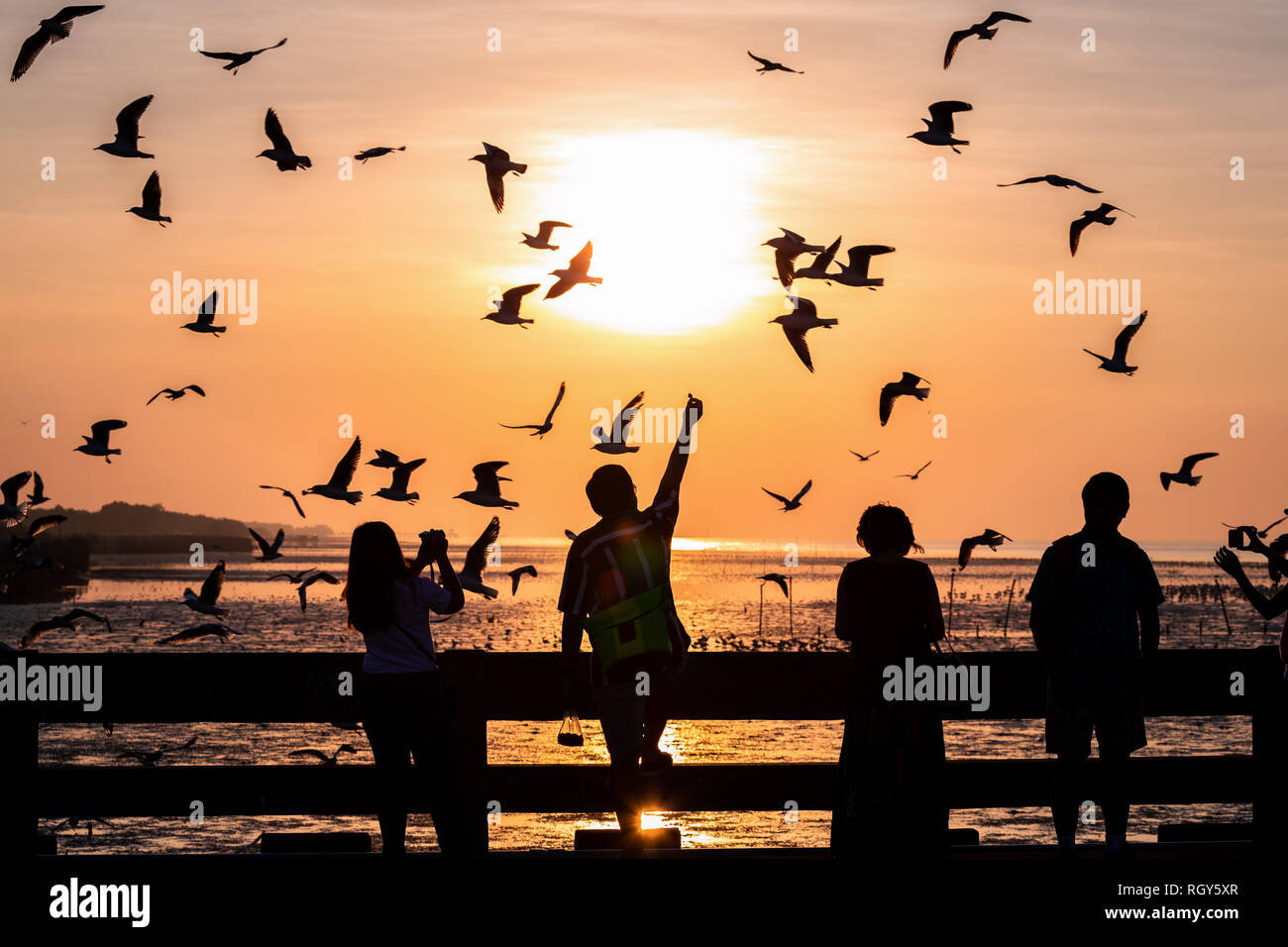 Samutprakarn Thailand Dezember 2 2018 Silhouette Szene Leute Beobachten Und Futtern Fliegen Mowen Bei Sonnenaufgang Stockfotografie Alamy