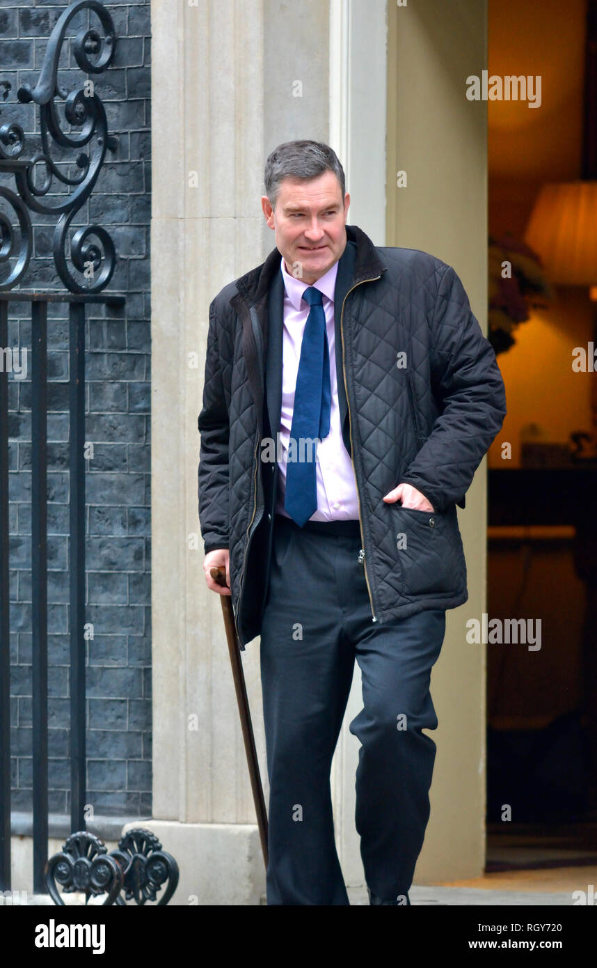 David Gauke MP, Herr Bundeskanzler und Staatssekretärin für Justiz, Downing Street nach einer Kabinettssitzung 29.01.19, mit einem Stick aufgrund eines Ba Stockfoto