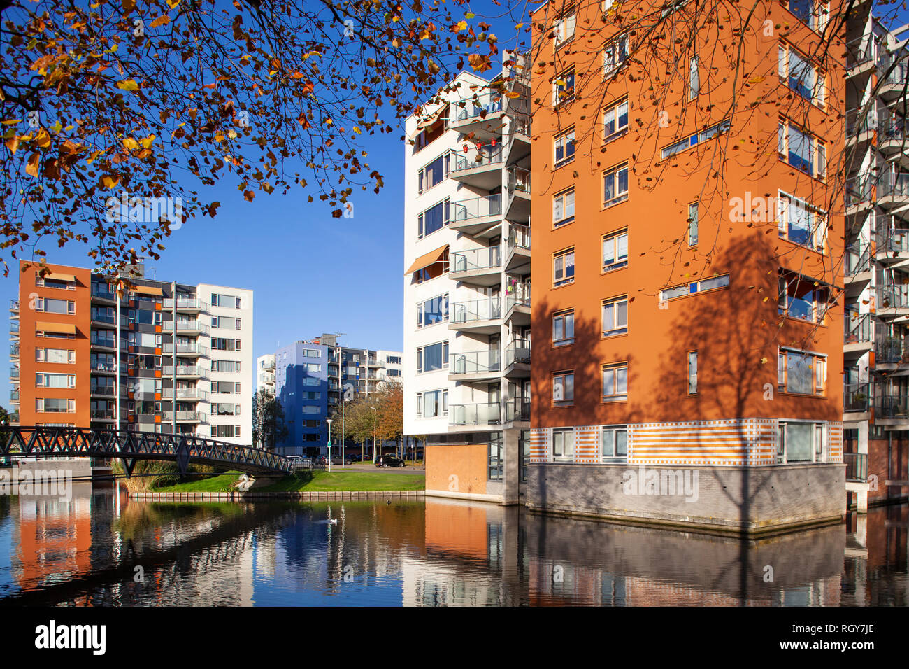 Residential Apartment Gebäude in der Nähe von Wasser mit schöner Baum Schatten im Herbst im Prinsenland Bezirk in Rotterdam. Stockfoto