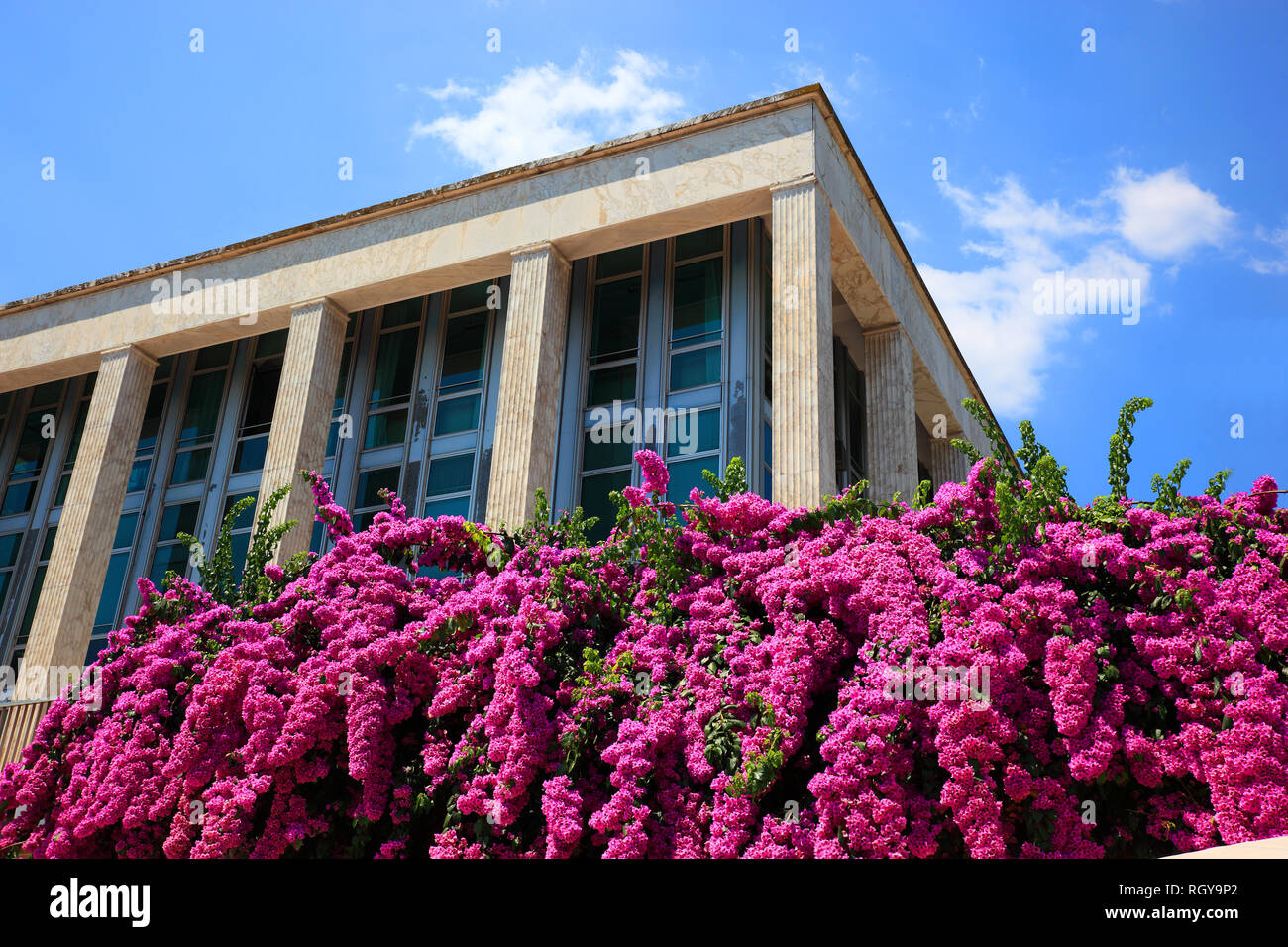 Sommer lila, Schmetterling, Bush, Buddleja davidii, Sommerflieder, an der Piazzale Konrad Adenauer, Esposizione Universale di Roma, Weltausstellung Rom, E Stockfoto