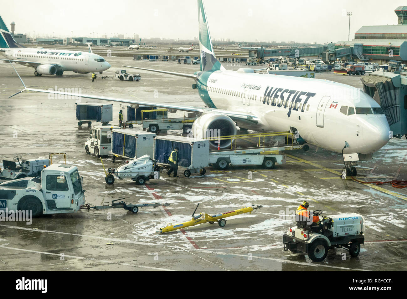 Gepäck entladen aus Wesjet Boeing 737 auf Asphalt Pearson Flughafen Toronto, Ontario Stockfoto