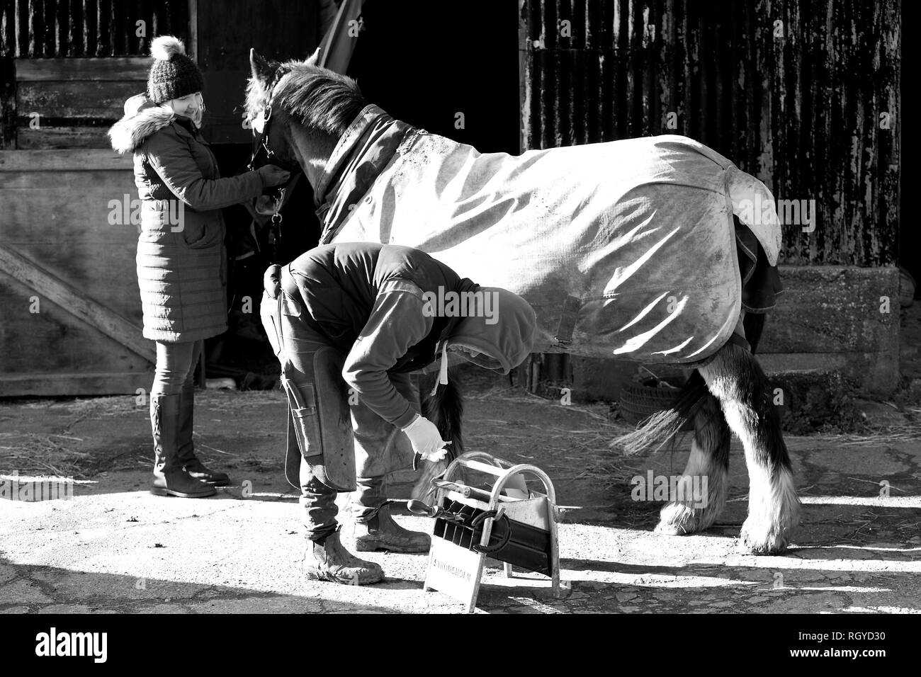 Ein gutes Beispiel für einen landwirtschaftlichen Beruf, ein hufschmied bei der Arbeit shoding ein Pferd. Stockfoto