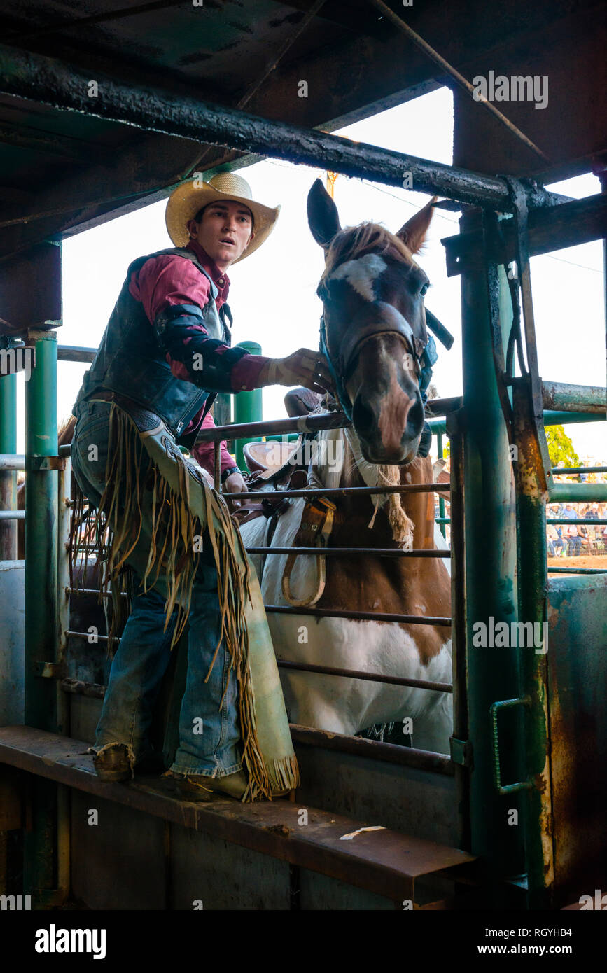 Texas Rodeo Cowboy Stockfoto