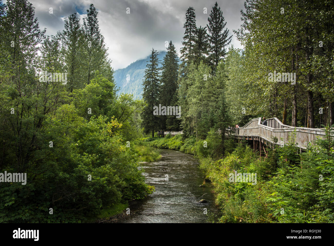 Fish Creek, Aussichtsplattform, Hyder, Alaska Stockfoto