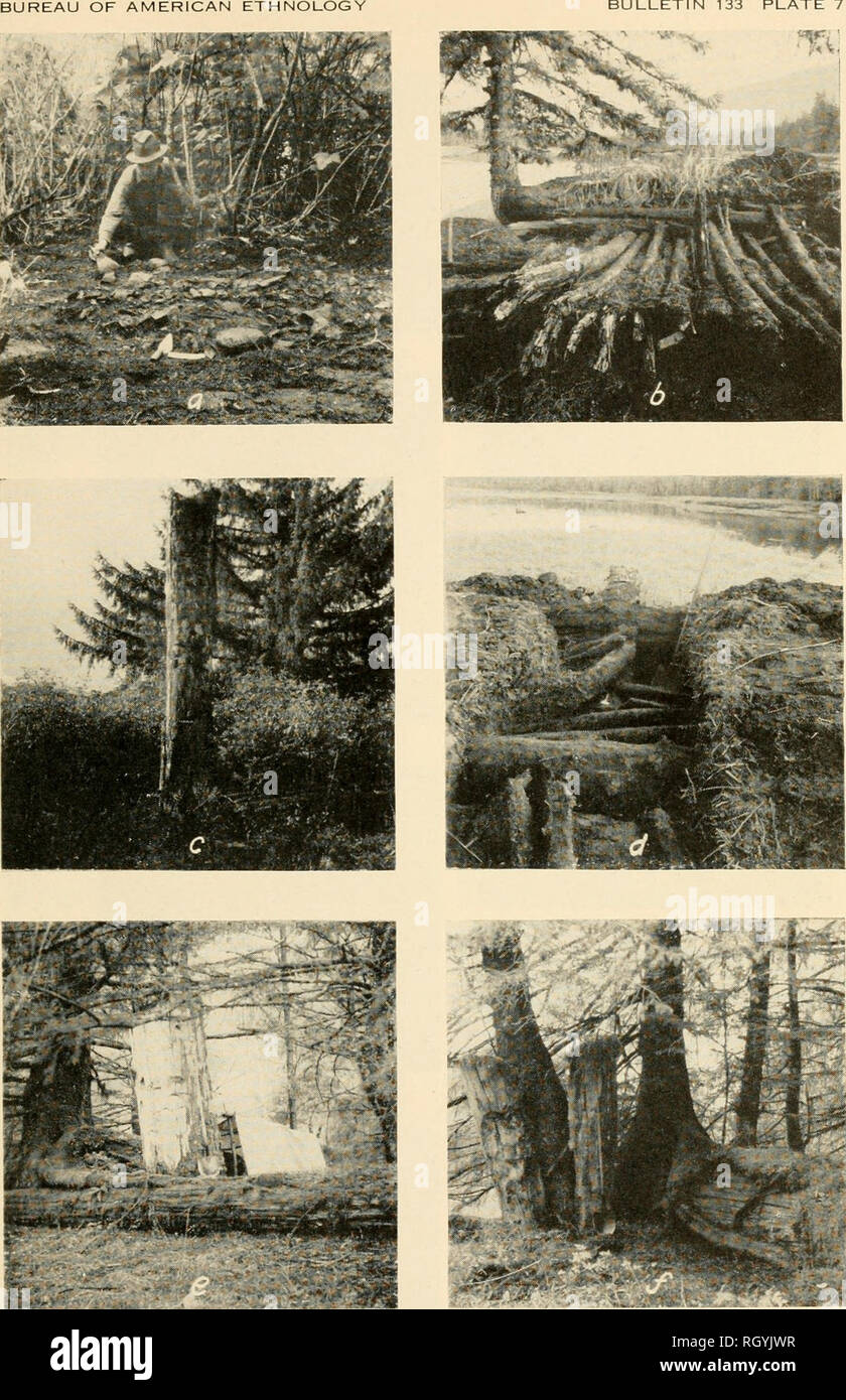 . Bulletin. Ethnologie. BULLETIN 133 Platte 7. Haus bleibt. Rock - gefüllte Feuerstelle, Charles Punkt midden. b, Bodenbeläge, nordwestliche Ecke Haus 1, Qalahaituk, vom Westen, c, Einfamilienhaus, Haus 6, Qalahaituk. d, Kreuz Graben durch Haus 1, Qalahaituk, Unterstützung von Balkenwerk, vom Zentrum von Haus, e, südwestlich von Info-bord, Ende des Strahls und vorderen Einstiegschwellers, Haus 1, Roscoe Einlass 1. Hinweis hem-Sperre über das Ende der Balken wächst. /, Südöstlich der Info-bord und Balken. Haus 1, Roscoe Einlass 1. Hinweis Hemlock, welche Post von oben gespalten hat, und andere, die auf Strahl.. Bitte beachten Sie, dass diese Bilder sind extracte Stockfoto