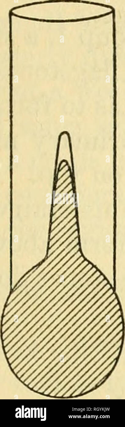 . Bulletin. Ethnologie. Stirling] STEIN DENKMÄLER DES SÜDLICHEN MEXIKO 25 Teil der Kurve ist gefüllt mit einem Stein "web", und zu den längeren Arm, als Teil der monolithischen Carving, ist eine kurze zylindrisches Stück befestigt. Einer dieser Steine ist ungefähr 5 Fuß in der Länge sollte von der Basis der Kurve an die Spitze des längsten Arm; die andere ist über einen Fuß kürzer.. S £ CT/auf A-A. Bitte beachten Sie, dass diese Bilder sind von der gescannten Seite Bilder, die digital für die Lesbarkeit verbessert haben mögen - Färbung und Aussehen dieser Abbildungen können nicht perfekt dem Original ähneln. extrahiert. Stockfoto