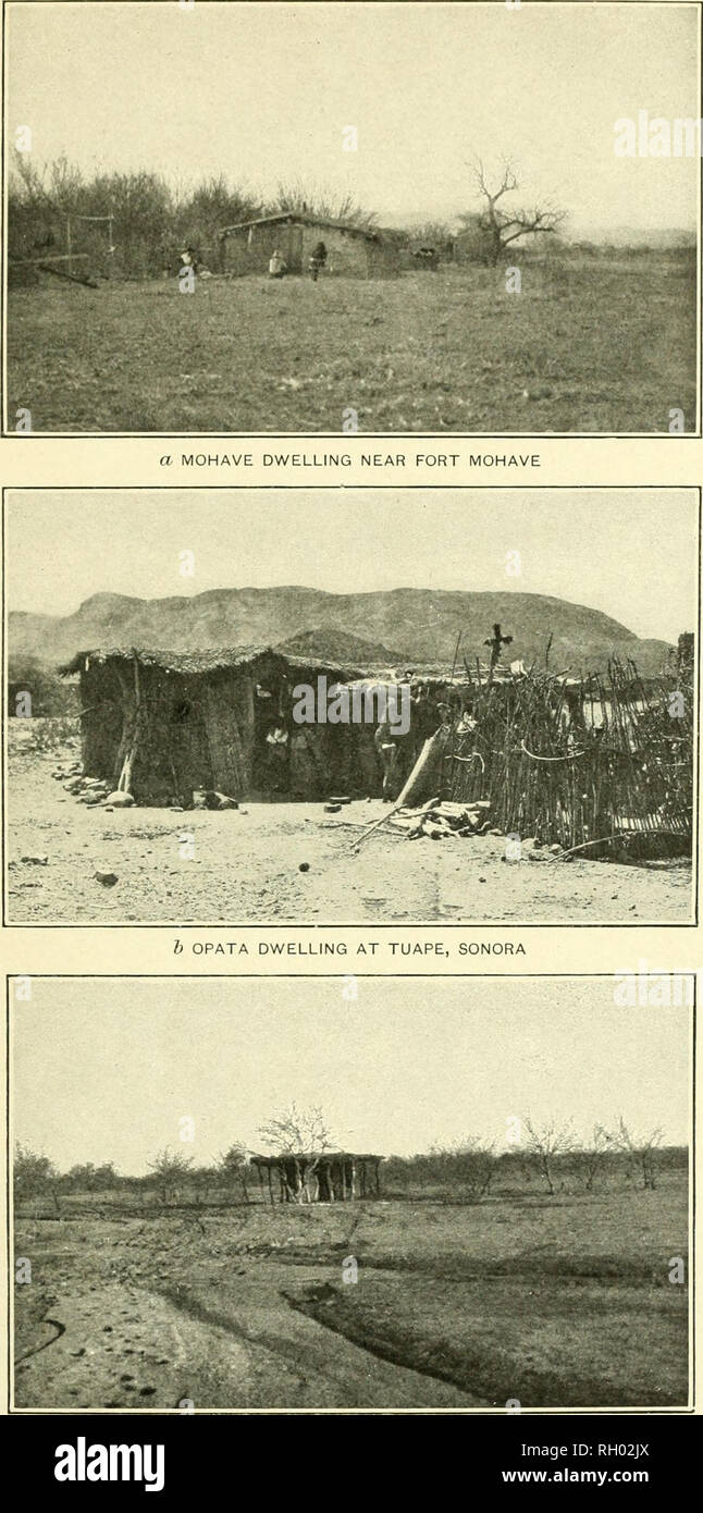 . Bulletin. Ethnologie. Büro der amerikanischen Ethnologie BULLETIN 34 PLATTE IX. C YAQUI SOMMER TIERHEIM, SONORA MOHAVE, OPATA und YAQUI WOHNUNGEN. Bitte beachten Sie, dass diese Bilder sind von der gescannten Seite Bilder, die digital für die Lesbarkeit verbessert haben mögen - Färbung und Aussehen dieser Abbildungen können nicht perfekt dem Original ähneln. extrahiert. Smithsonian Institution. Büro der amerikanischen Ethnologie. Washington: G. S. O. Stockfoto