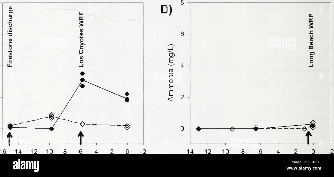 . Bulletin. Wissenschaft. Stream Distanz (km) San Gabriel River Coyote Creek C) i/) 6 - a,, c_l o O) F4-LL.m Â £ = O F F2-&lt;. 12 10 8 6 4 2 Strom Entfernung (km) 10 8 6 4 2 Stream Distanz (km) Abb. 7. In-stream Ammoniak Konzentrationen von Stream und Jahr (vertikale Pfeile zeigen, WRP Standorten). In Abbildung 7b, 0km ist der Zusammenfluss von San Jose Creek und den San Gabriel River. Die WRPs ermittelt wurden die Hauptquelle von Fluss und Nährstoffe werden (es gibt keine WRP Einleitungen in Ballona Creek). Nicht-punkt Einleitungen sind die Hauptursachen für die Bakterien in allen drei Wasserscheiden. Ähnlich Stockfoto