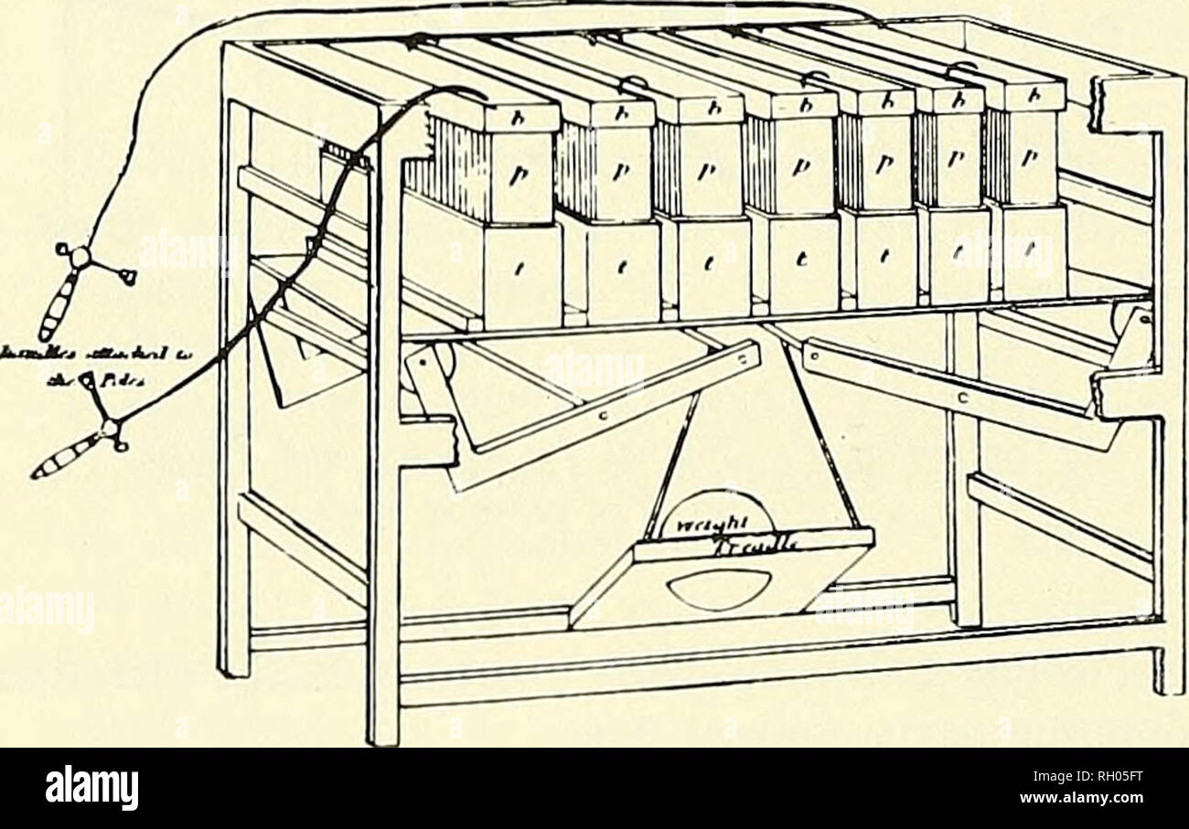 . Bulletin. Wissenschaft. Abbildung 14. - Robert Hare calorimotor (oben) und galvanische deflagrator. Von American Journal of Science, 1819, Bd. I, Platte gegenüber s. 413, und 1822, Bd. 5, S. 95. die Platte gegenüber. Als der physischen Kontakt,^^ und Antoine Becquerel wie die celF'' in den 1820er als Folge der Davy Theorien erdacht hatte. Daniell, Faradays elektrochemischen Theorien zu prüfen, und Er plante seinen nonpo - larizable "Konstante Batterie" auf die Ergebnisse (Abbn. 15, 16, und 17). In Daniell cell ein Zink fusioniert Elektrode in einer schwachen Lösung von Schwefelsäure durch ein Ochse getrennt wurde Stockfoto