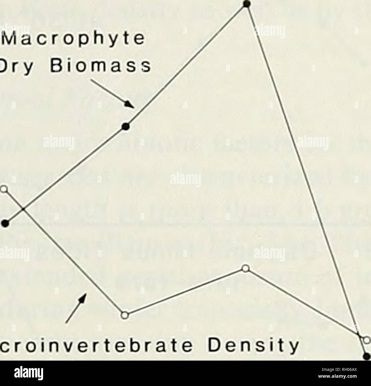 . Bulletin. Wissenschaft; Naturgeschichte; Natural History. Saisonalität der GEZEITENZONE GEMEINSCHAFT 87 1 100 c^1000 1 E O D) 900 800 3.3 3.2 3.1 3.0 2.9 Ich Macrophyte trockener Biomasse. Makroinvertebraten Dichte • B Bitte beachten Sie, dass diese Bilder sind von der gescannten Seite Bilder, die digital für die Lesbarkeit verbessert haben mögen - Färbung und Aussehen dieser Abbildungen können nicht perfekt dem Original ähneln. extrahiert. Südkalifornien Akademie der Wissenschaften. Los Angeles, Calif.: Die Akademie Stockfoto