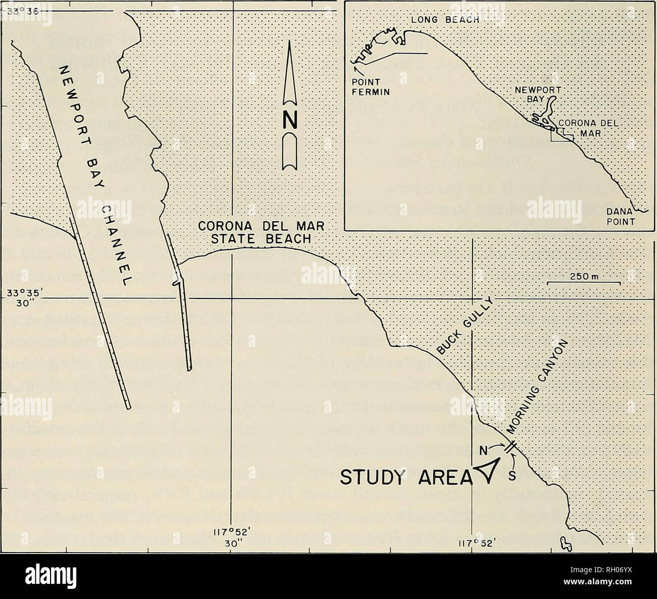 . Bulletin. Wissenschaft; Naturgeschichte; Natural History. 96 südlichen Kalifornien AKADEMIE DER WISSENSCHAFTEN y^LONG BEACH POINT FERMIN: -.- Newport:: -:-:-:-:-.-:-:-:-:- "N^: BAY/?.:x::::::: X;: ^-^^ xoRONA del::;:-y^H-M. AR.-; -:-:-:': ':' Dan; v^PUNKT. Abb. 1. Lage der Corona Del Mar Studie und permanente Transekt Linien., dass erhebliche Rückgänge aufgetreten waren, mit Corona Del Mar den dritten Rang in der grösste Teil der Arten im Vergleich zu anderen Regionen der südlichen Kalifornien verloren. In der Vereinbarung, Thorn und Widdowson (1978) stellte fest, dass die massive und foliose in-tertidal Algen im Bereich hatte b Stockfoto