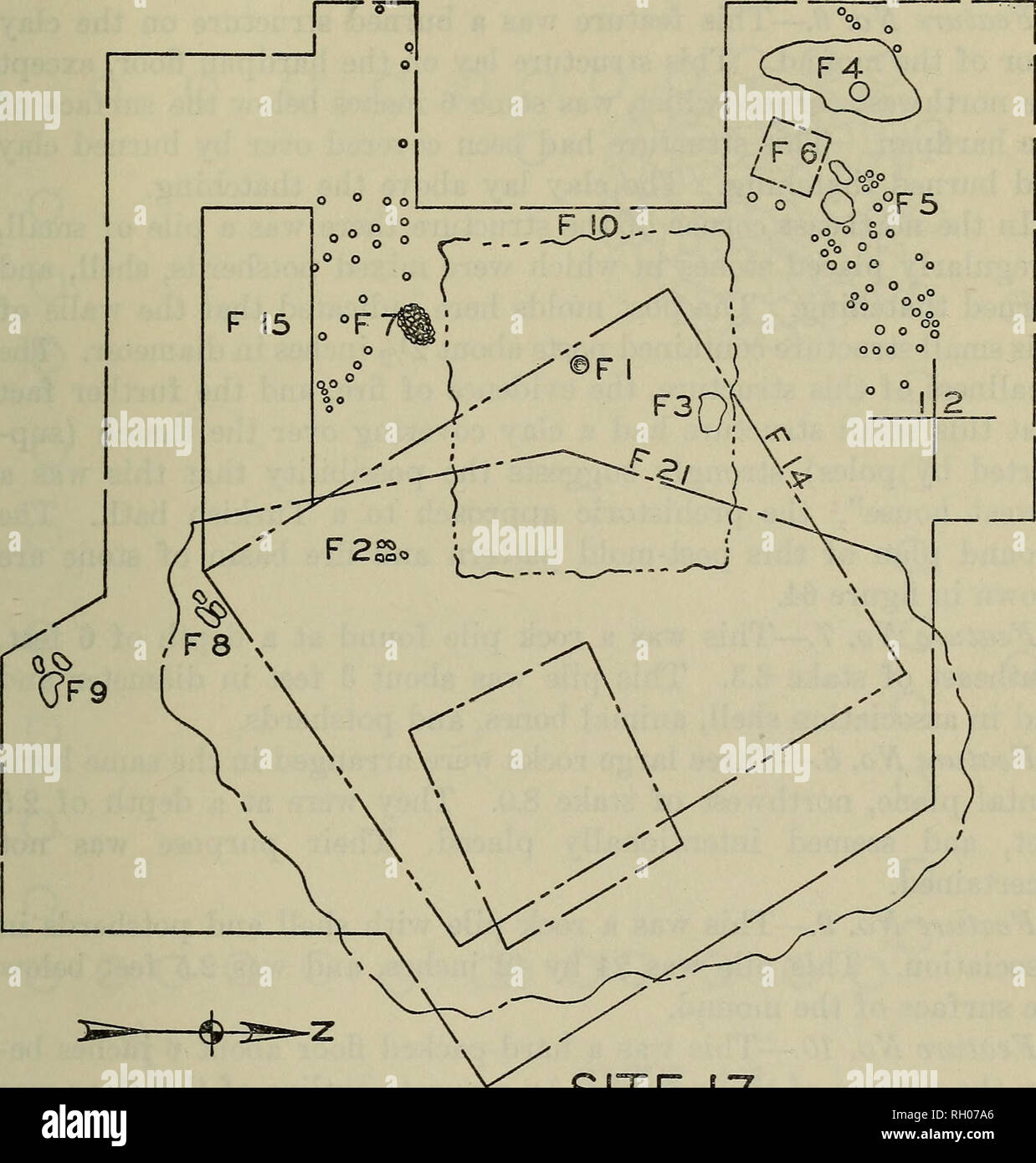 . Bulletin. Ethnologie. WEBB] archäologische übersicht von NORRIS BECKEN 153 Funktion Nr. 2 - Feuer Felsen verbunden mit Scherben waren südwestlich von dem Spiel 6.0 In einer Tiefe von 11 cm gefunden. Die Felsen sind scheinen zunehmend platziert einen Kamin zu bilden und Ruhten sich in der Asche wälzen. Funktion Nr. 3 - südwestlich von dem Spiel 3.2, und in einer Tiefe von ungefähr 10 Zoll, gab es eine kleine Fläche mit Zuckerrohr gebrannt. Seite 17 DAMM 3 ausgegraben, Skalierung von 10 8 64 20 10 Meter Figubb 63. und Gras. Dieses verkohlte Material wurde nicht in Verbindung mit anderen erkennbar. Funktion Nr. 4 - Diese Funktion wurde bei einer Tiefe gefunden Stockfoto