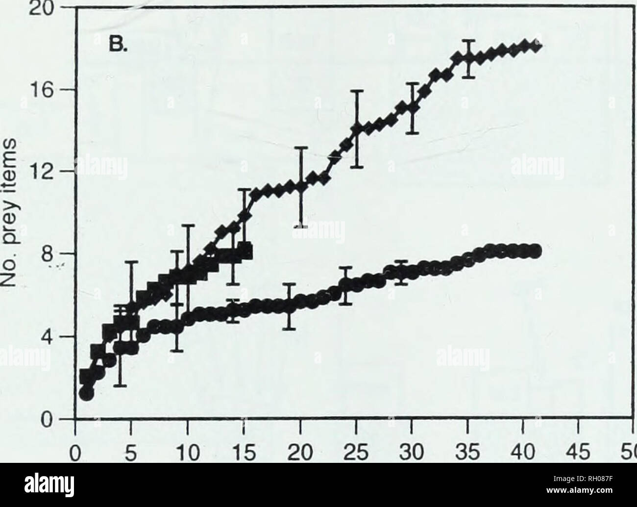 . Bulletin. Wissenschaft. Ernährungsgewohnheiten an GESPRENKELTEN SAND BASS A R T T*" "12-yS 8-#^^ Ich 4^I I I i i i i i. iâr 10 15 20 25 30 35 40 45 50 Nr. guts Bild analysiert. 4. Kum. Beute Kurven für: A) Herbst 1992 (warm); und b) Frühjahr 1994 (cool). Es gibt Symbole für (â) kleine getupfte sand Bass, 50-150mm, SL (n=35); •) Medium sand beschmutzt, Bass, 150-229 mm, SL (n=39); und (â ¦) Große beschmutzt sand Bass, 230-310 mm, SL (n=42) im Jahr 1992 gesammelt, und für die Kleinen (n=15), mittel (n=41) und grossen gefleckten sand Bass (n = 41) im Jahr 1994 gesammelt. Reihenfolge der Darm Analyse wurde randomisiert Stockfoto