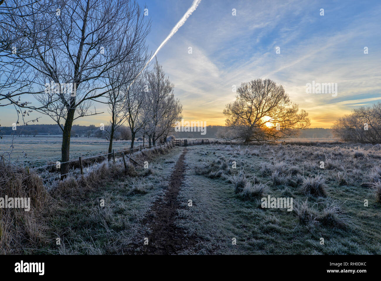 Avon Valley Fußweg, Burgate, Fordingbridge, New Forest, Hampshire, Großbritannien, 31. Januar 2019, Wetter: Ein harter Frost über Nacht macht die Landschaft weiß, während der Sonnenaufgang das Morgenlicht bringt. Stockfoto