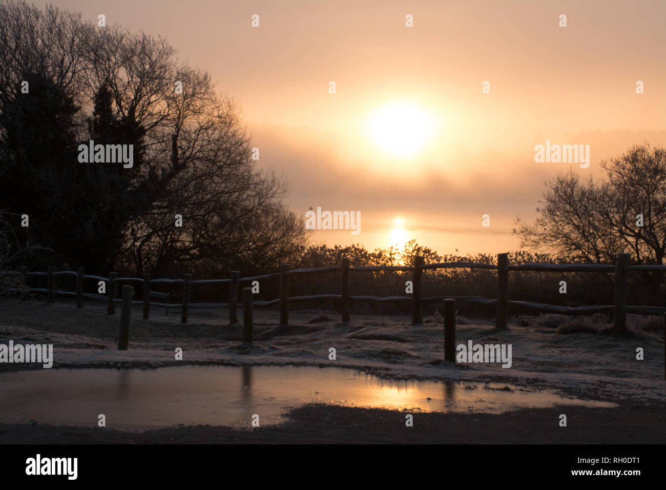 Frensham großen Teich, Surrey, Großbritannien. 31. Januar, 2019. UK Wetter: Nach der kältesten Nacht des Winters so weit, Dieser Morgen begann mit eisnebel. Die Sonne bald durch die schöne winterliche Szenen glänzte. Stockfoto