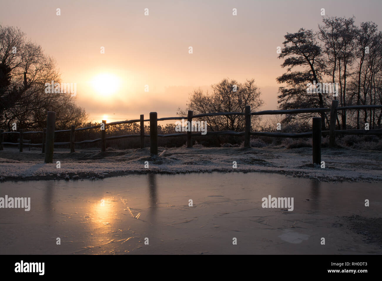 Frensham großen Teich, Surrey, Großbritannien. 31. Januar, 2019. UK Wetter: Nach der kältesten Nacht des Winters so weit, Dieser Morgen begann mit eisnebel. Die Sonne bald durch die schöne winterliche Szenen glänzte. Stockfoto