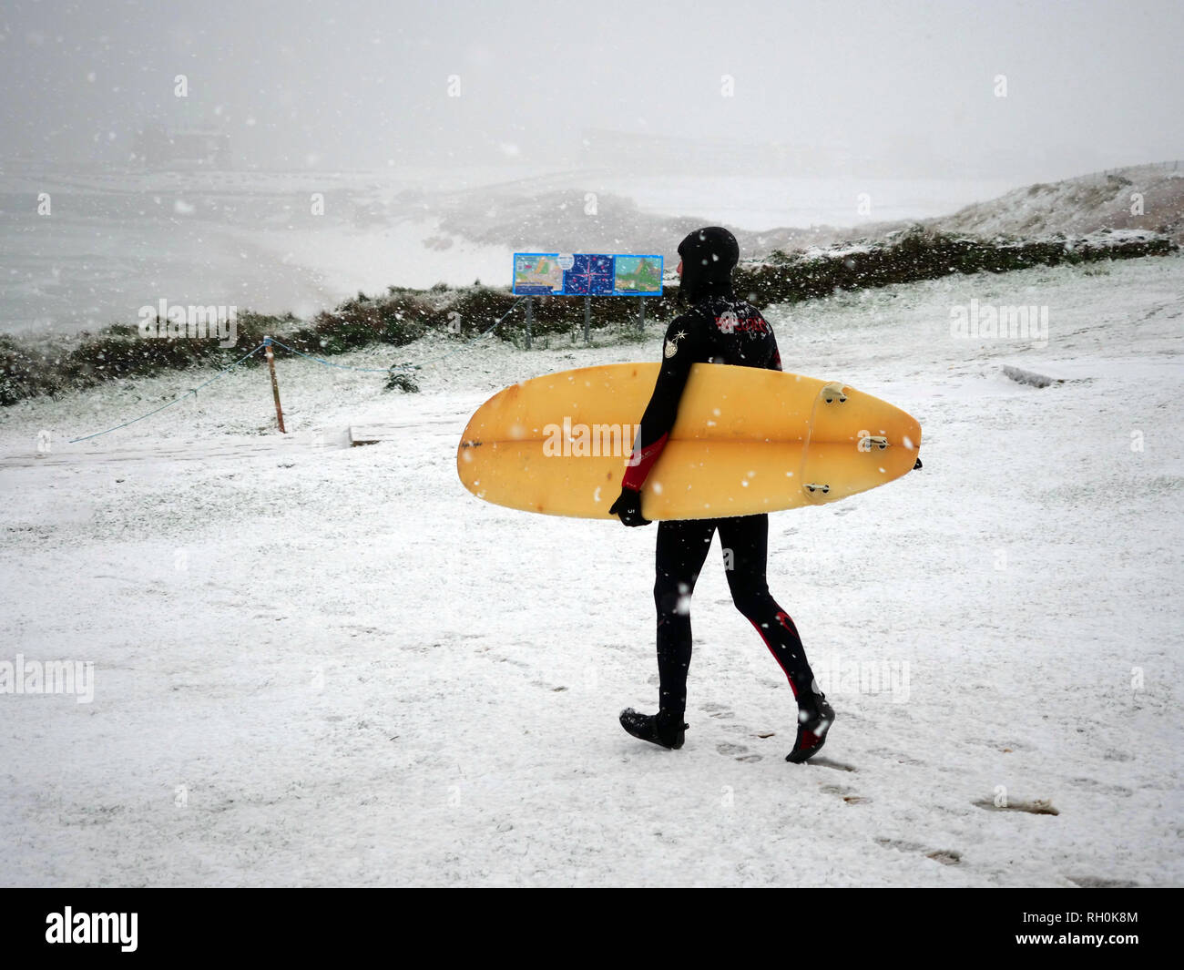 Newquay, Cornwall. 31. Jan 2019. UK Wetter: Fistral Beach Surfer im Schnee Sturm. Newquay, Cornwall, 31. Januar 2019. UK Wetter: Credit: Robert Taylor/Alamy leben Nachrichten Stockfoto