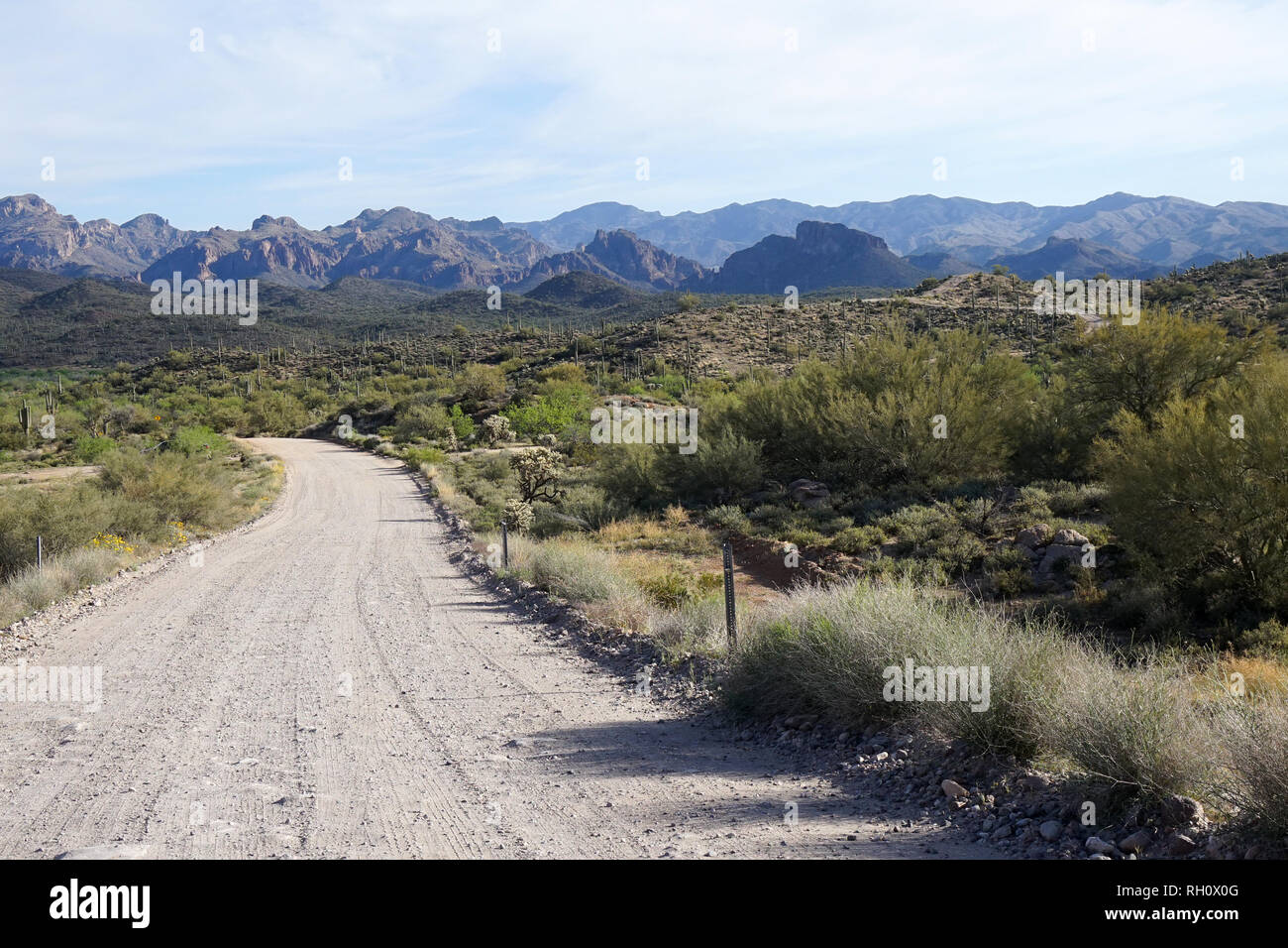 Ein Feldweg führt durch die Wüste von Arizona. Stockfoto