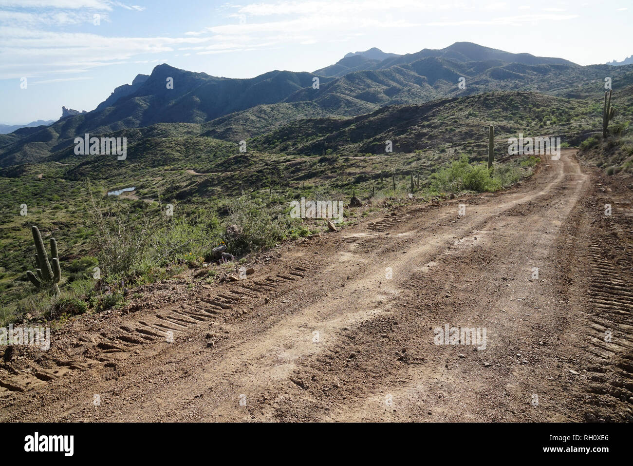 Einen Blick auf eine unbefestigte Straße, die durch die Wüste von Arizona. Stockfoto