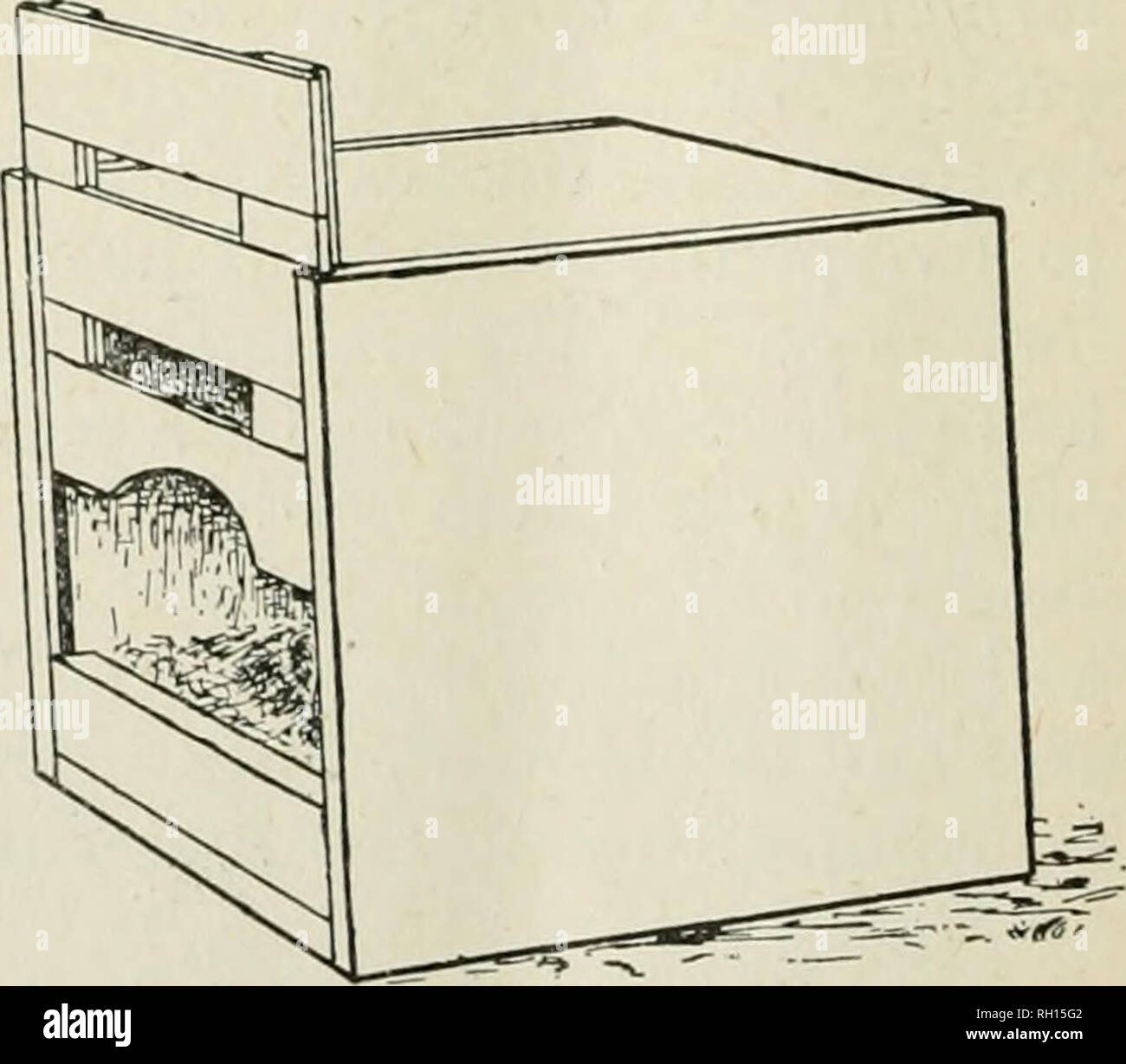 . Bulletin. Landwirtschaft - - Ontario. Abb. 21 (a). Übersicht Haken, hält die Tür. Das Nest ist 12 cm breit, 12 cm hoch und 15 cm lang.. Abb. 21 (6). Nest bereit für die Henne zu gelangen. Wo Man ist bestrebt, eine besondere Belastung der Vögel zu erstellen, entweder für spezielle Utility oder für phantastische Ausstellung Zwecke, die Trap-Nest, wenn nach sah, wird zeigen, was Hühner legen, und die Henne legt bestimmte Eier, damit der Züchter, genau zu wissen, was er tut. Sie erfordern viel Zeit in der Art und Weise der Aufzeichnungen und Freigeben von Legehennen nach der Verlegung. Bitte beachten Sie, dass diese Bilder ar Stockfoto