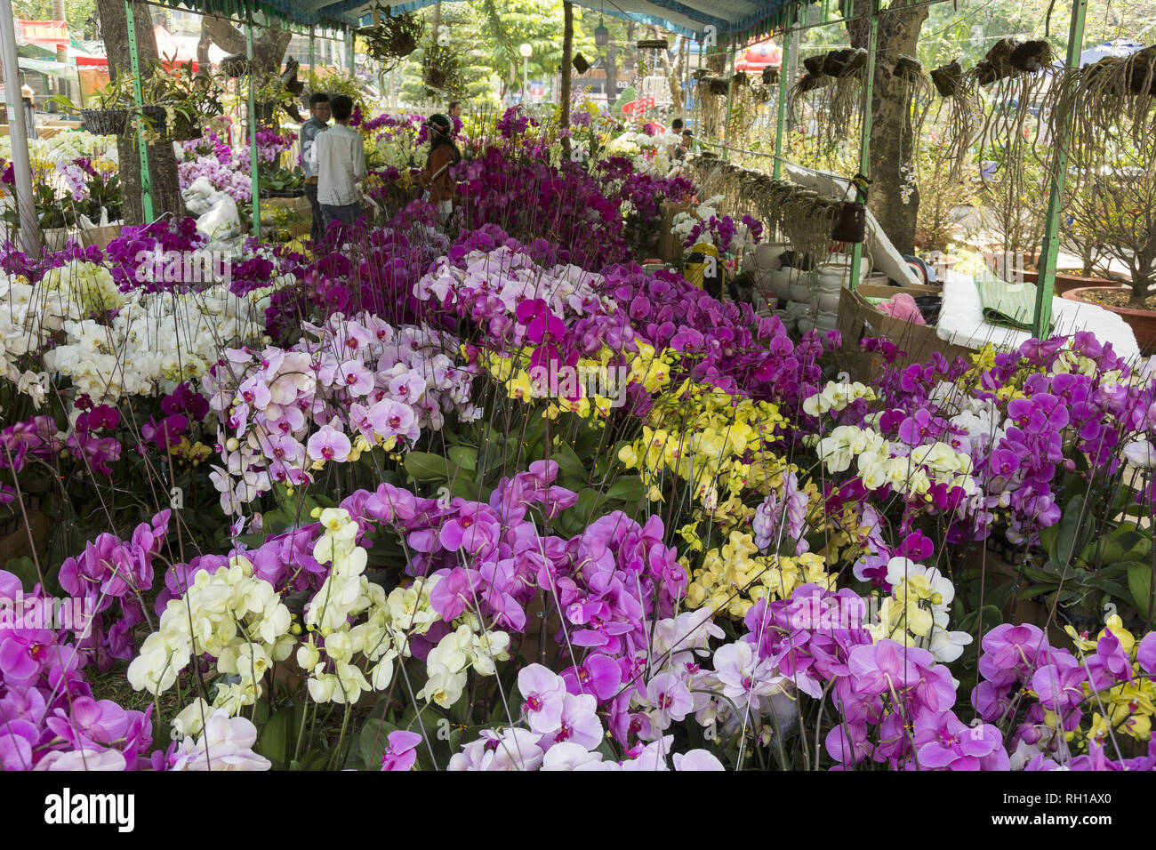 Blumen Markt in Ho Chi Minh, Vietnam Stockfoto