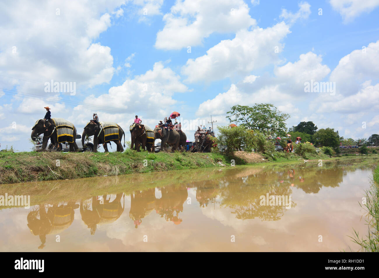 SURIN, THAILAND, 9. Mai 2017: Ordination Parade auf Elephantâ € ™ s Zurück Festival ist, wenn Elefanten Parade und Novizen auf ihrem Rücken tragen. Dieser ev Stockfoto