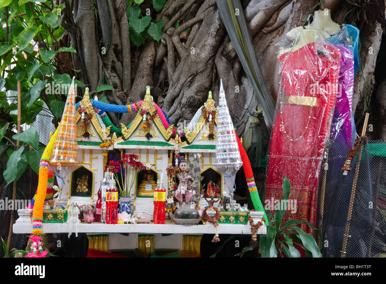 Ein peepal Baum in Bangkok, Thailand, das angeblich von einem weiblichen Geist bewohnt, so dass weibliche Kleidung, ein Geist Haus und andere rituelle Objekte angeboten Stockfoto
